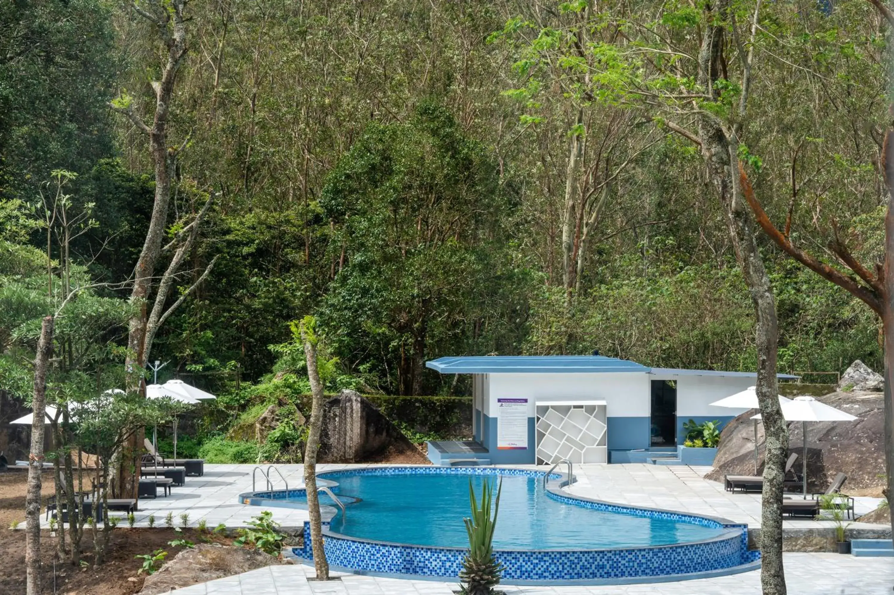 Swimming pool in Sterling Munnar Swimming pool in Sterling Munnar