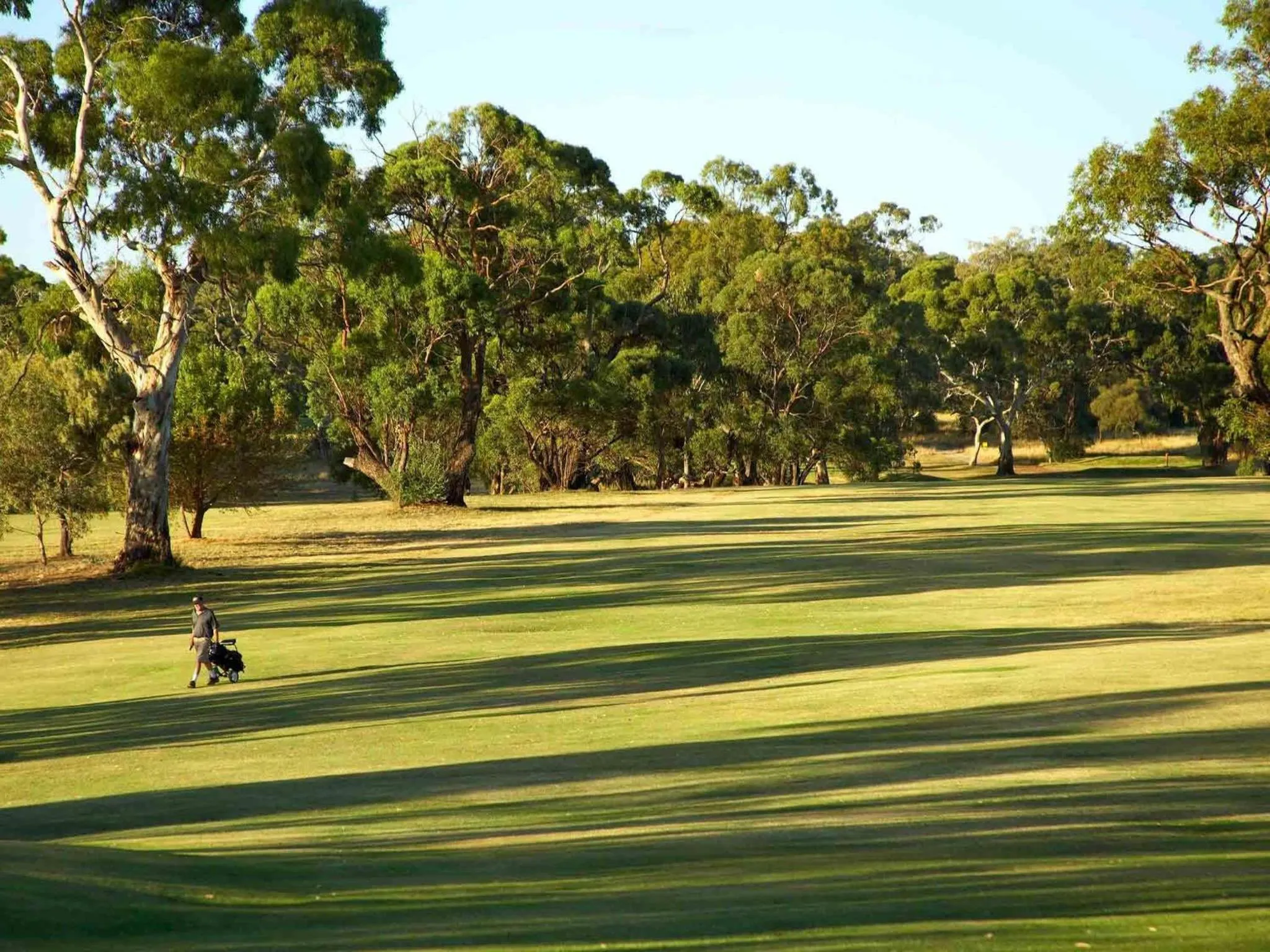 Golfcourse in Novotel Barossa Valley Resort
