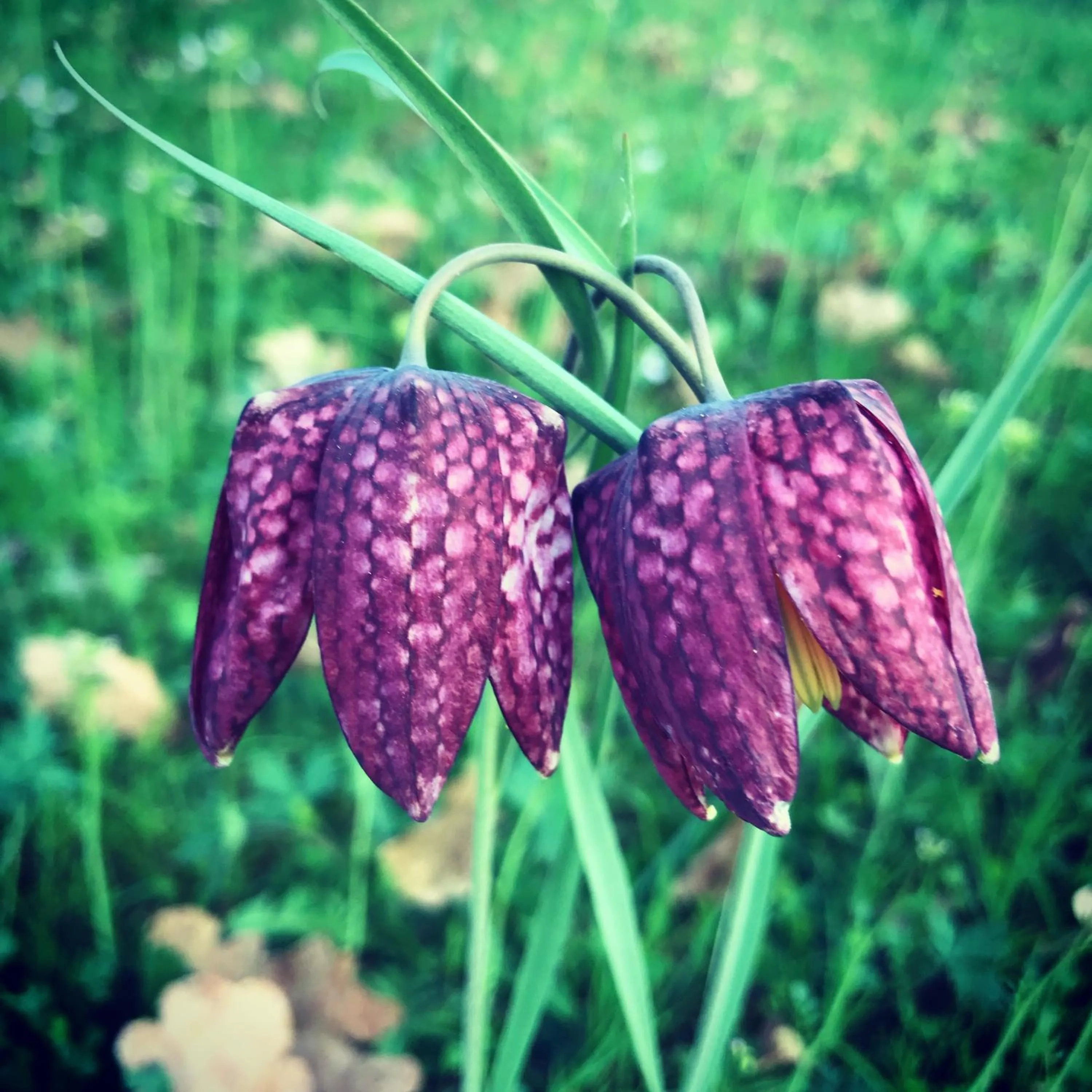 Hiking in Seehotel Gut Dürnhof