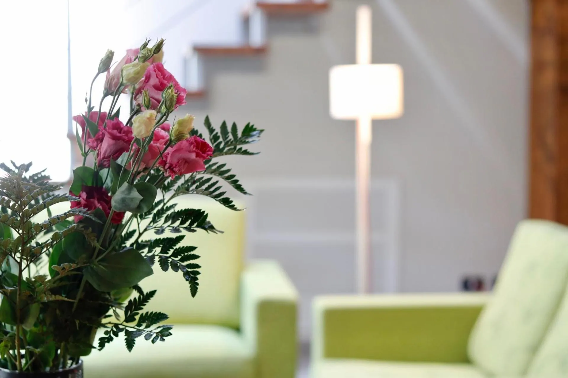Living room in Castelli Delux