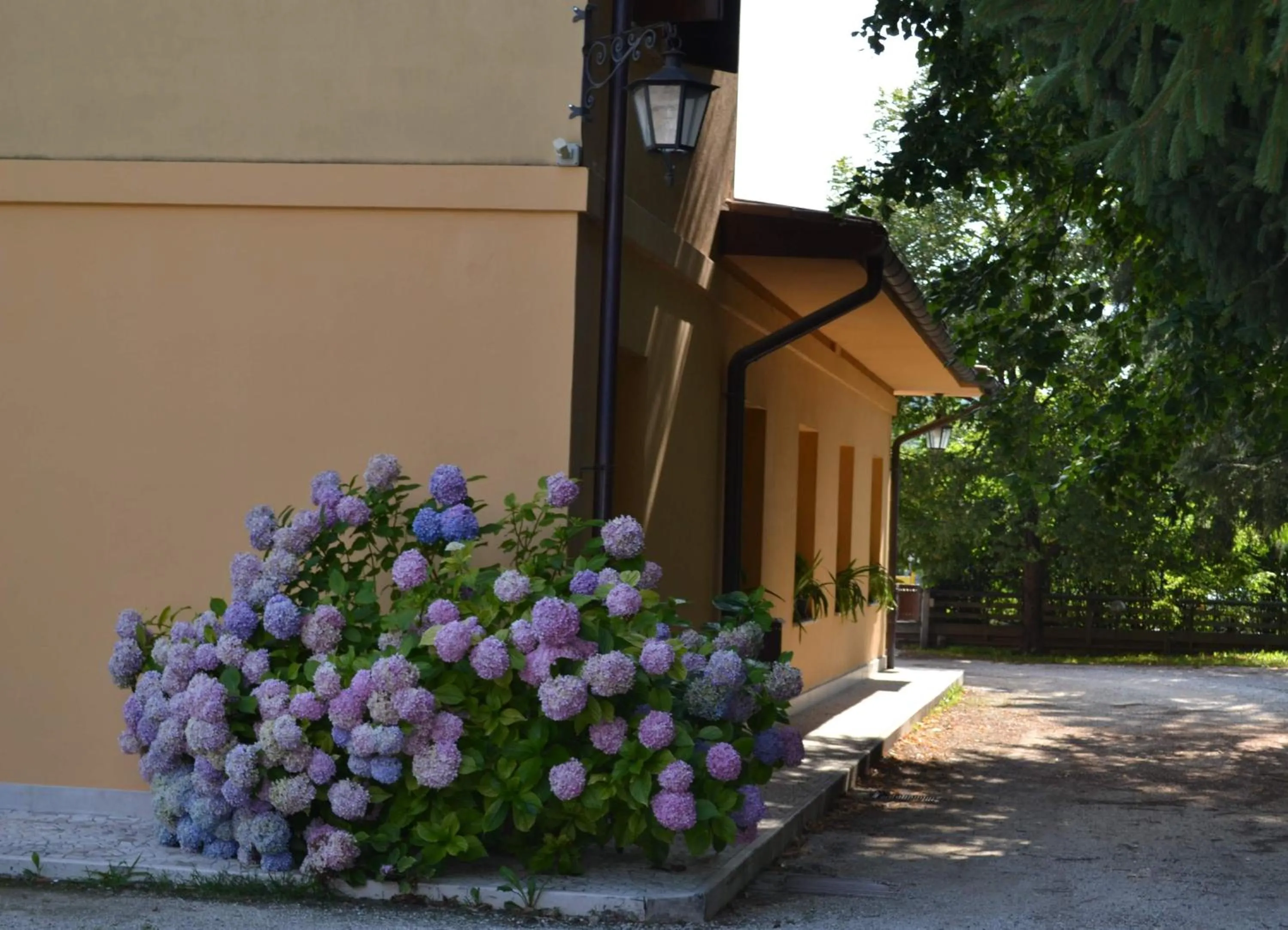 Day in Albergo Da Gildo