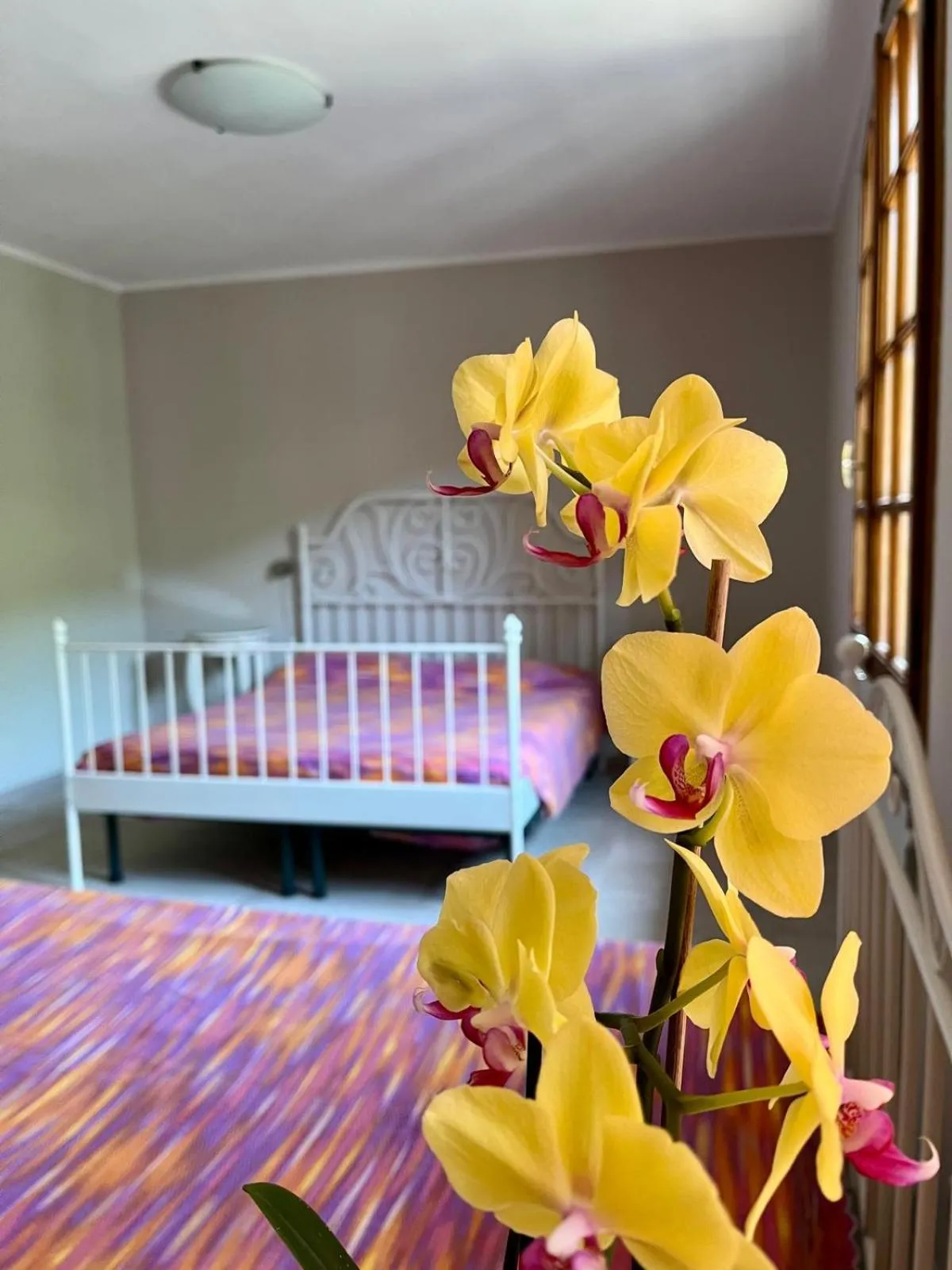 Bed in B&B Aria Di Lago