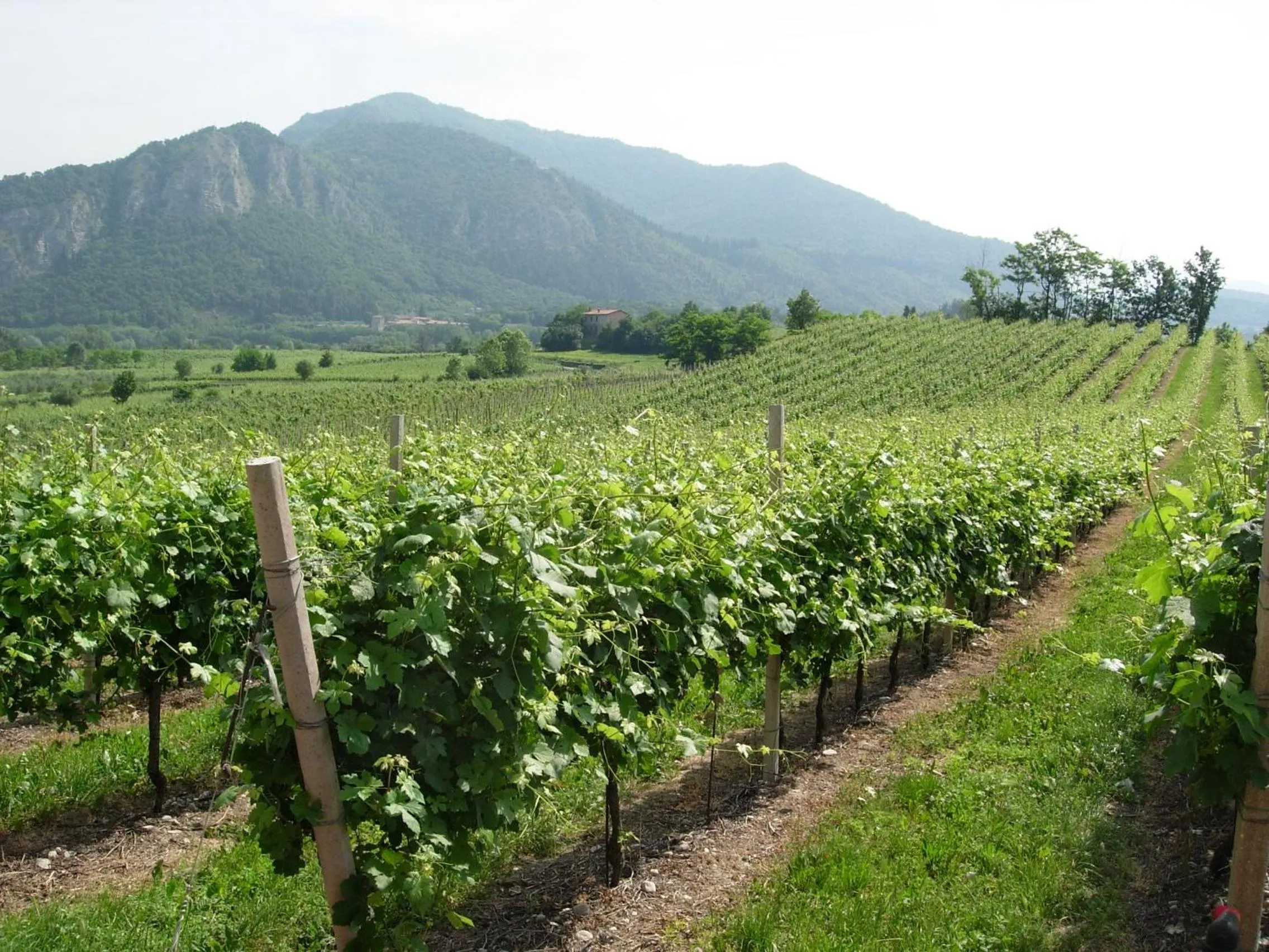 Nearby landmark in B&B Aria Di Lago
