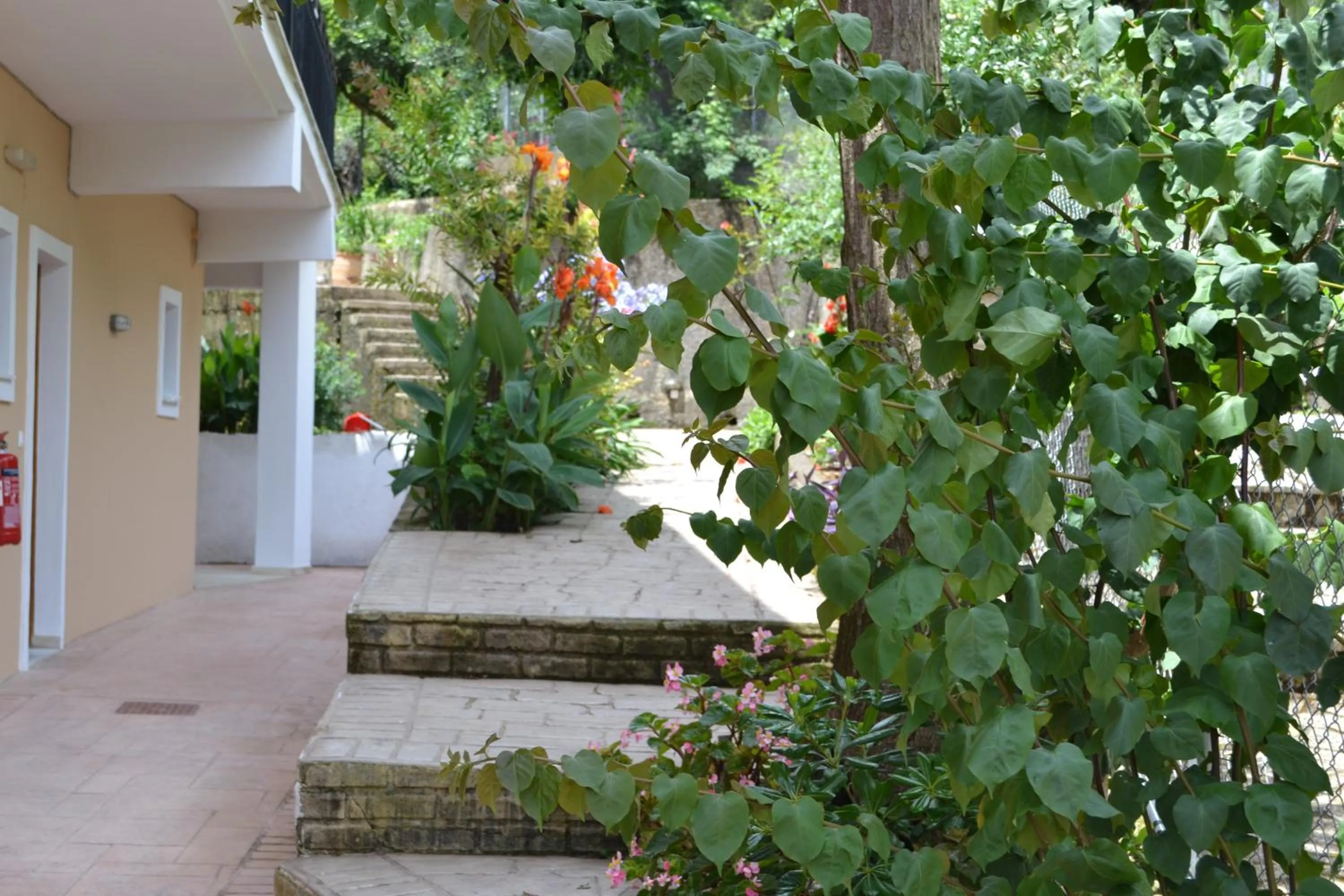 Photo of the whole room in Iliana Studios