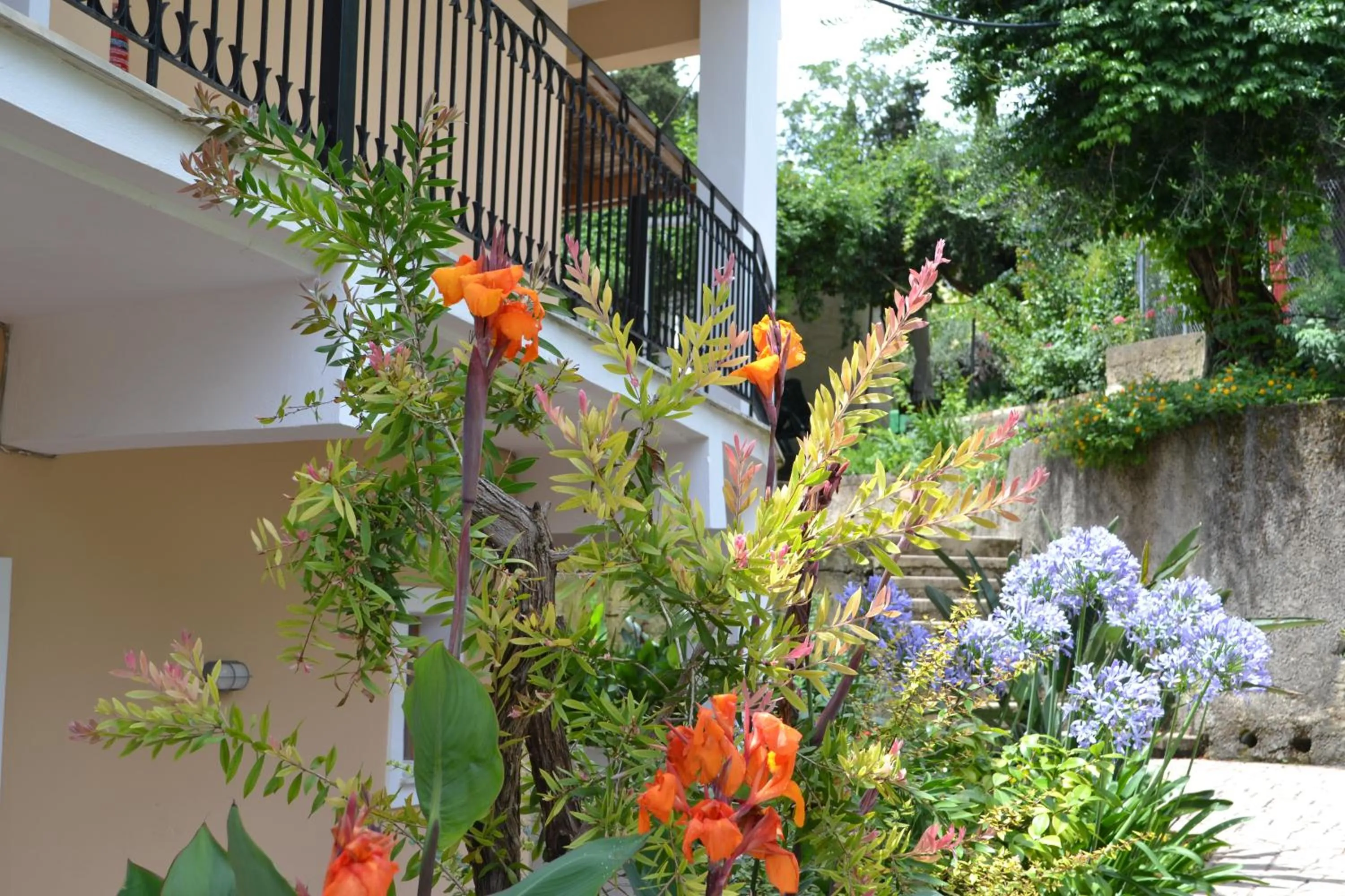 Photo of the whole room in Iliana Studios