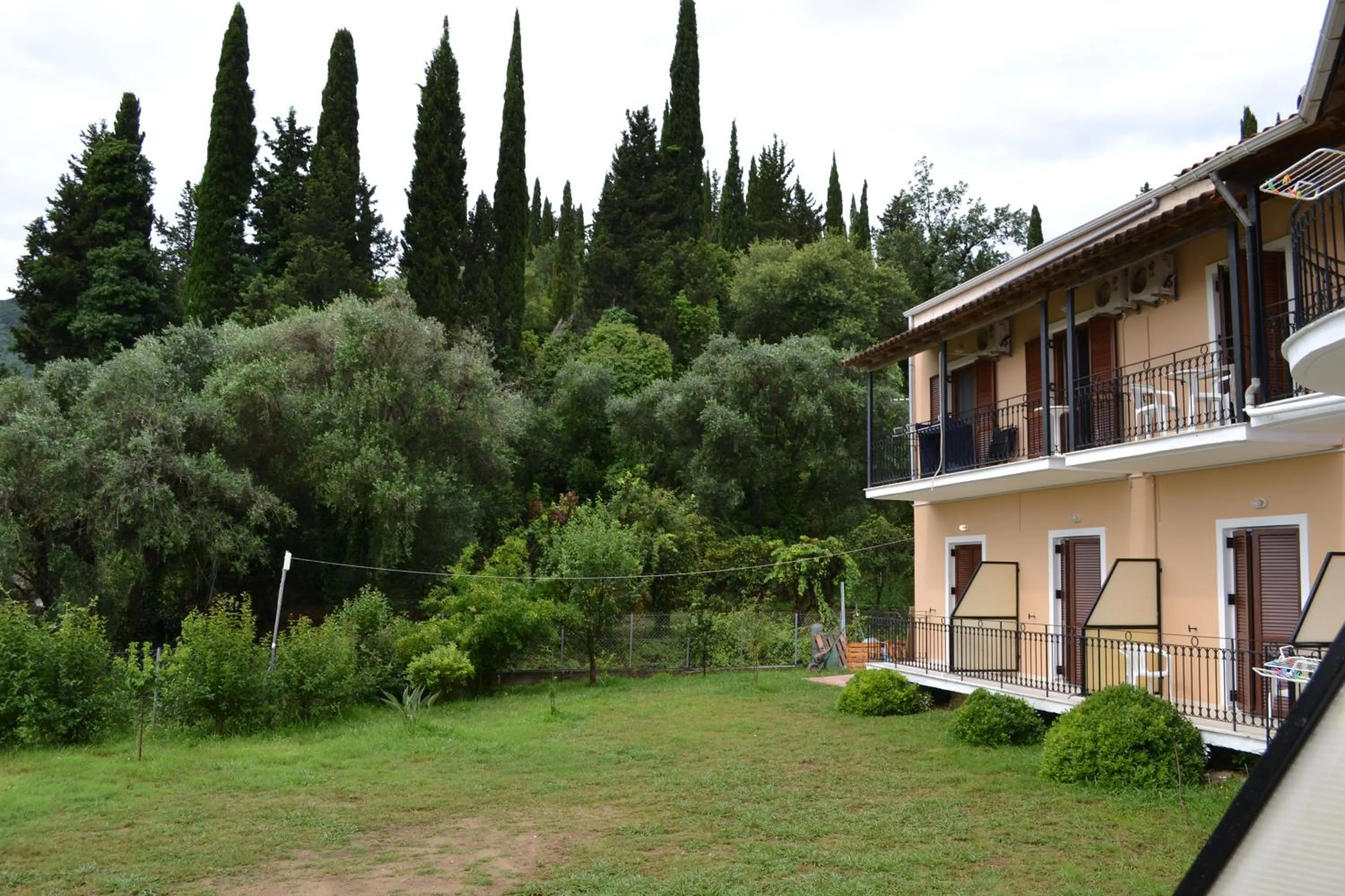 Garden in Iliana Studios