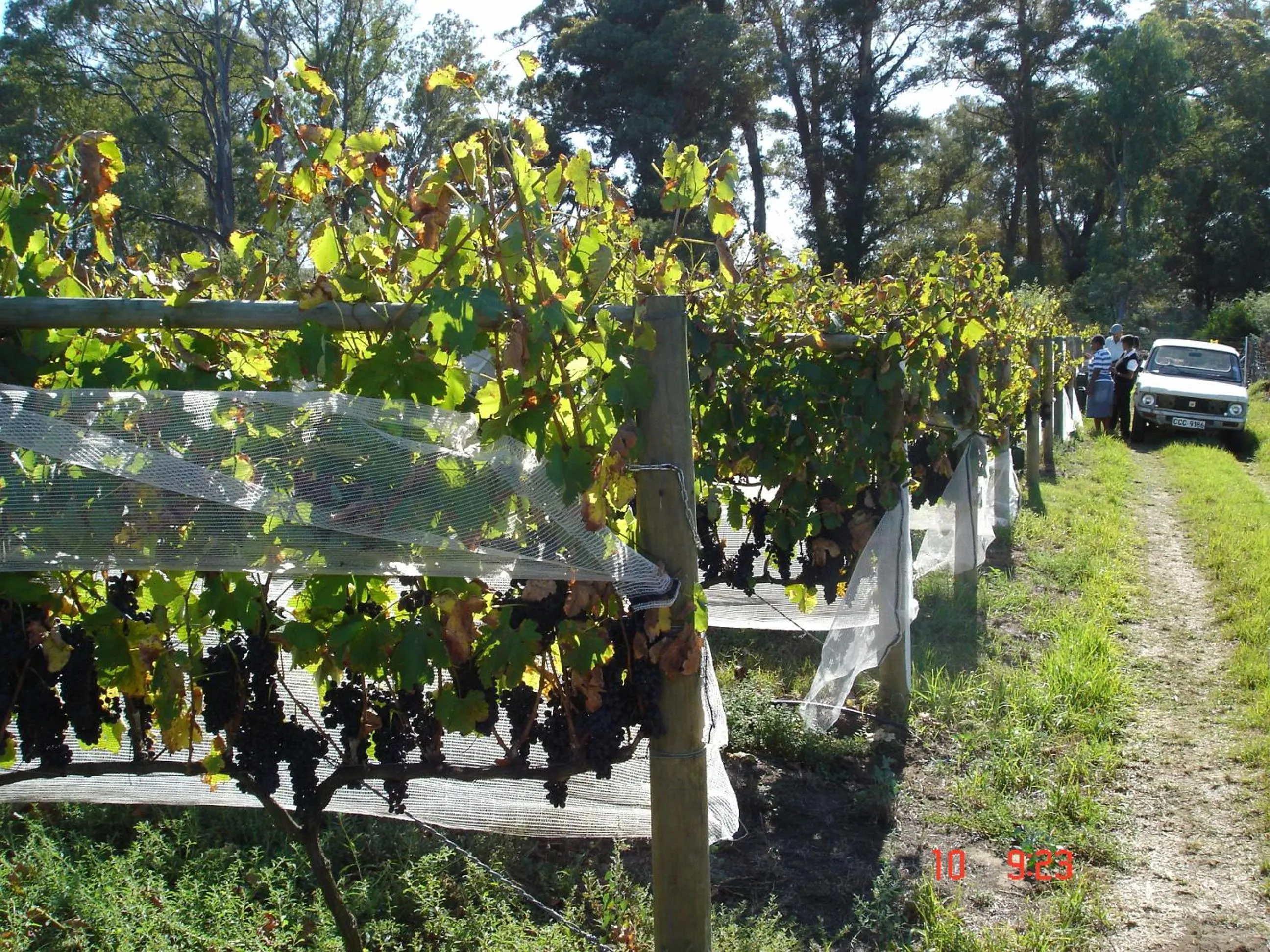 Seasons in De Doornkraal Vinotel