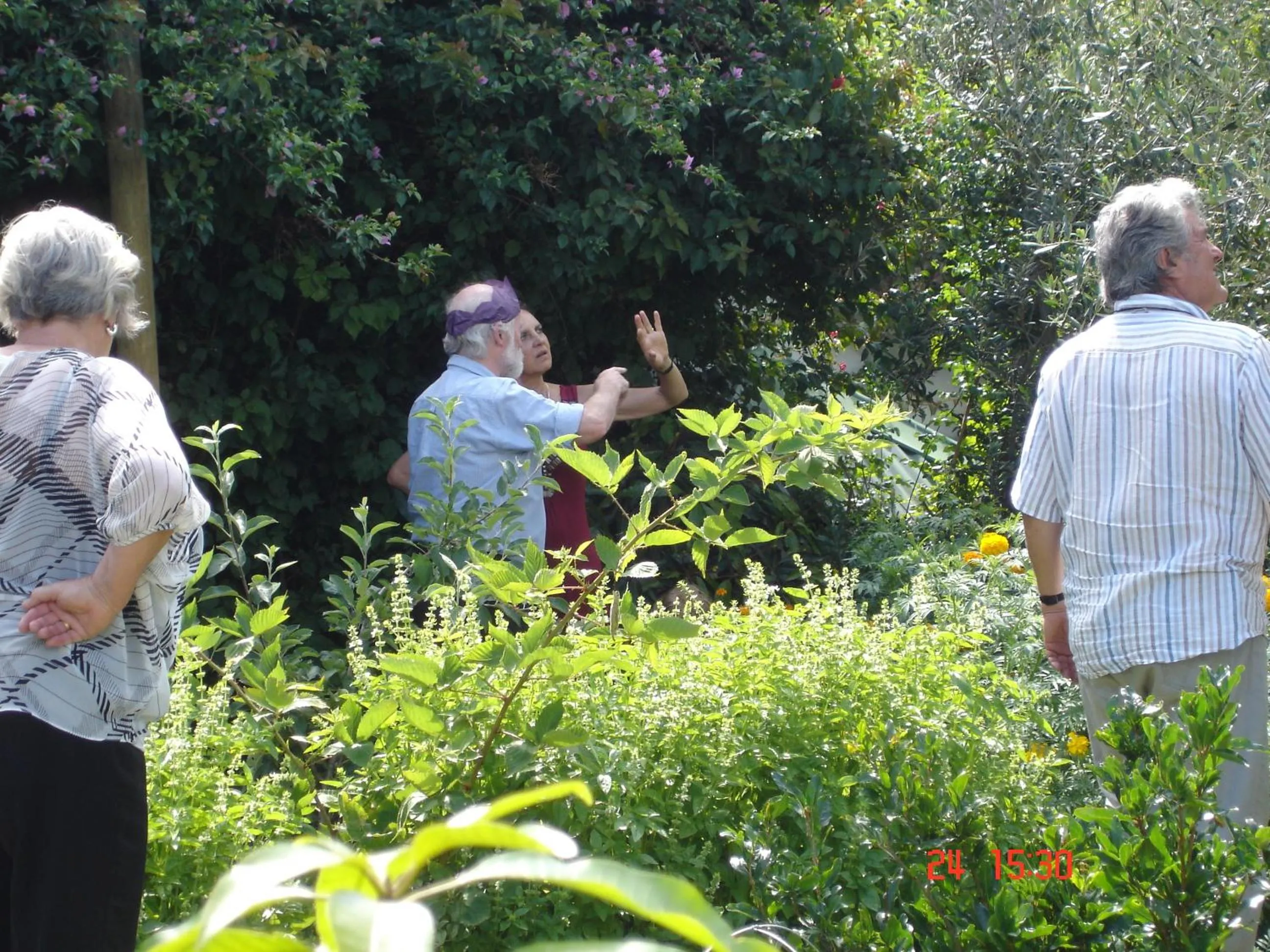 Garden in De Doornkraal Vinotel