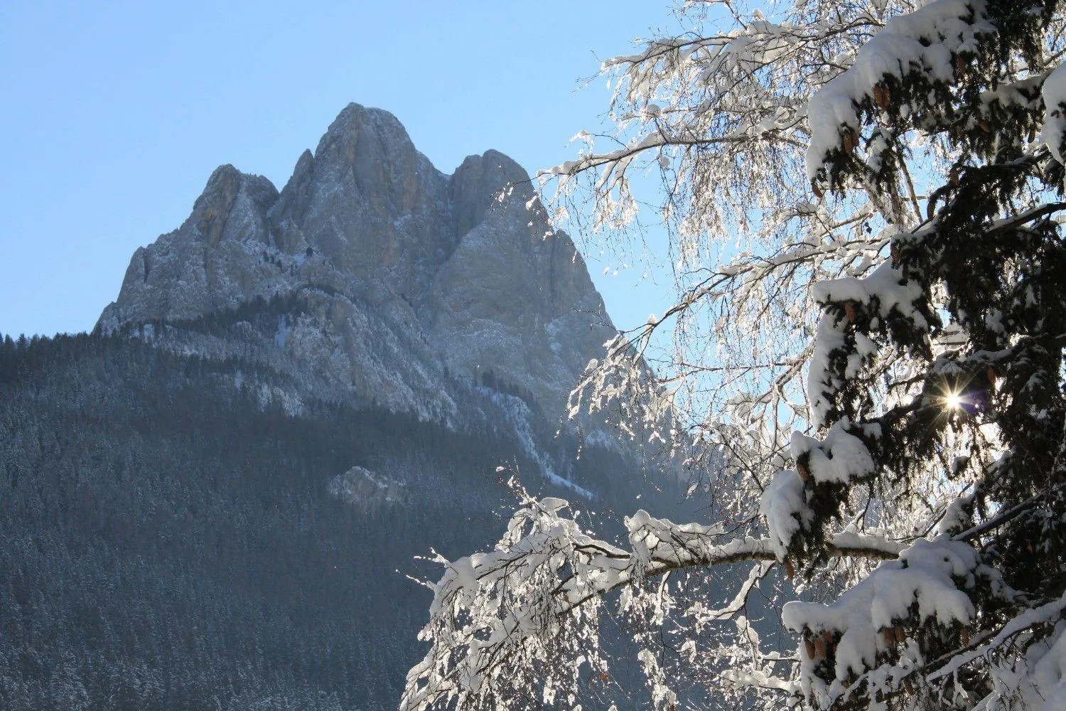 View (from property/room) in Hotel Trento