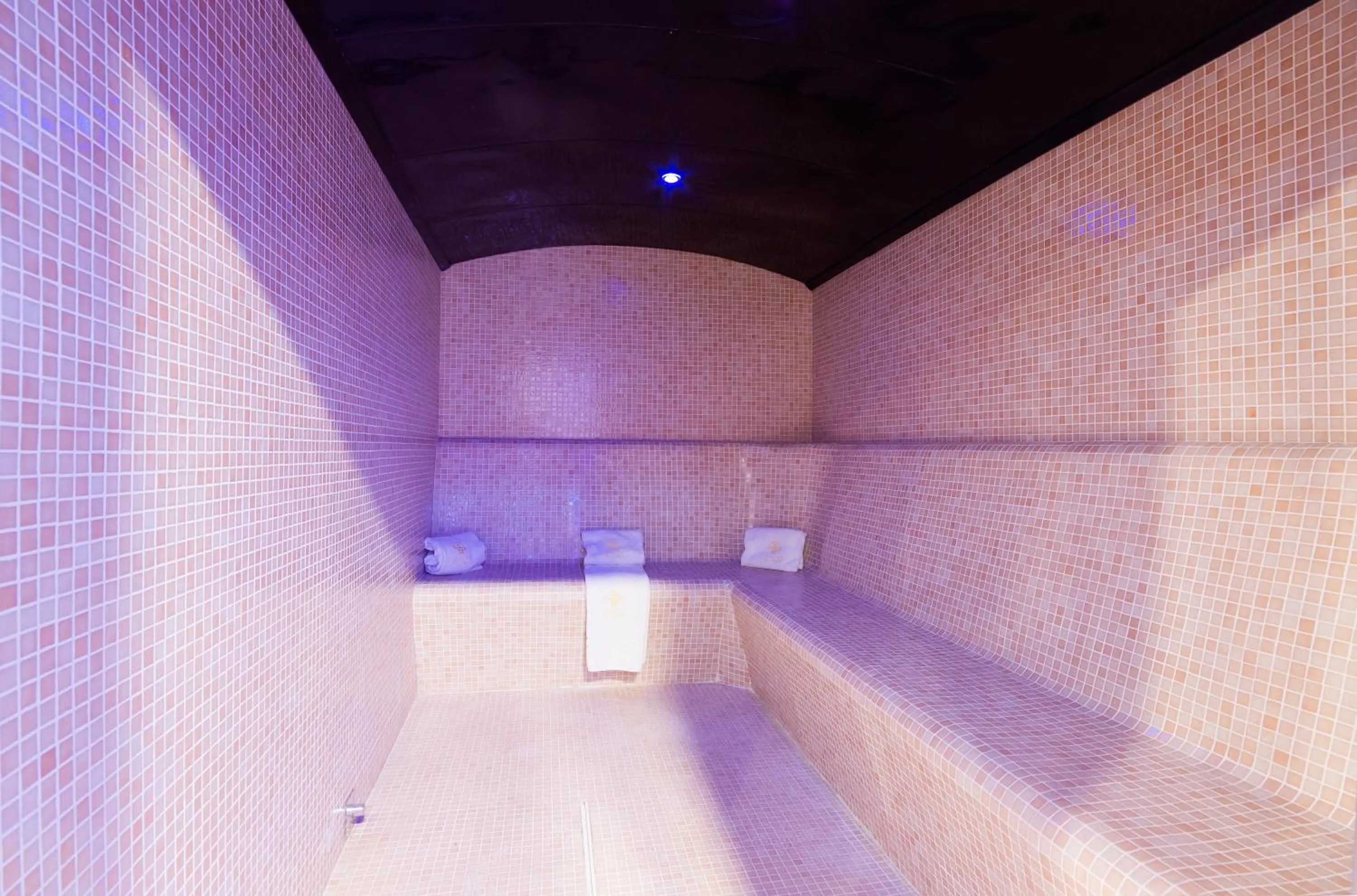 Spa and wellness centre/facilities in Hotel El Tajo & SPA