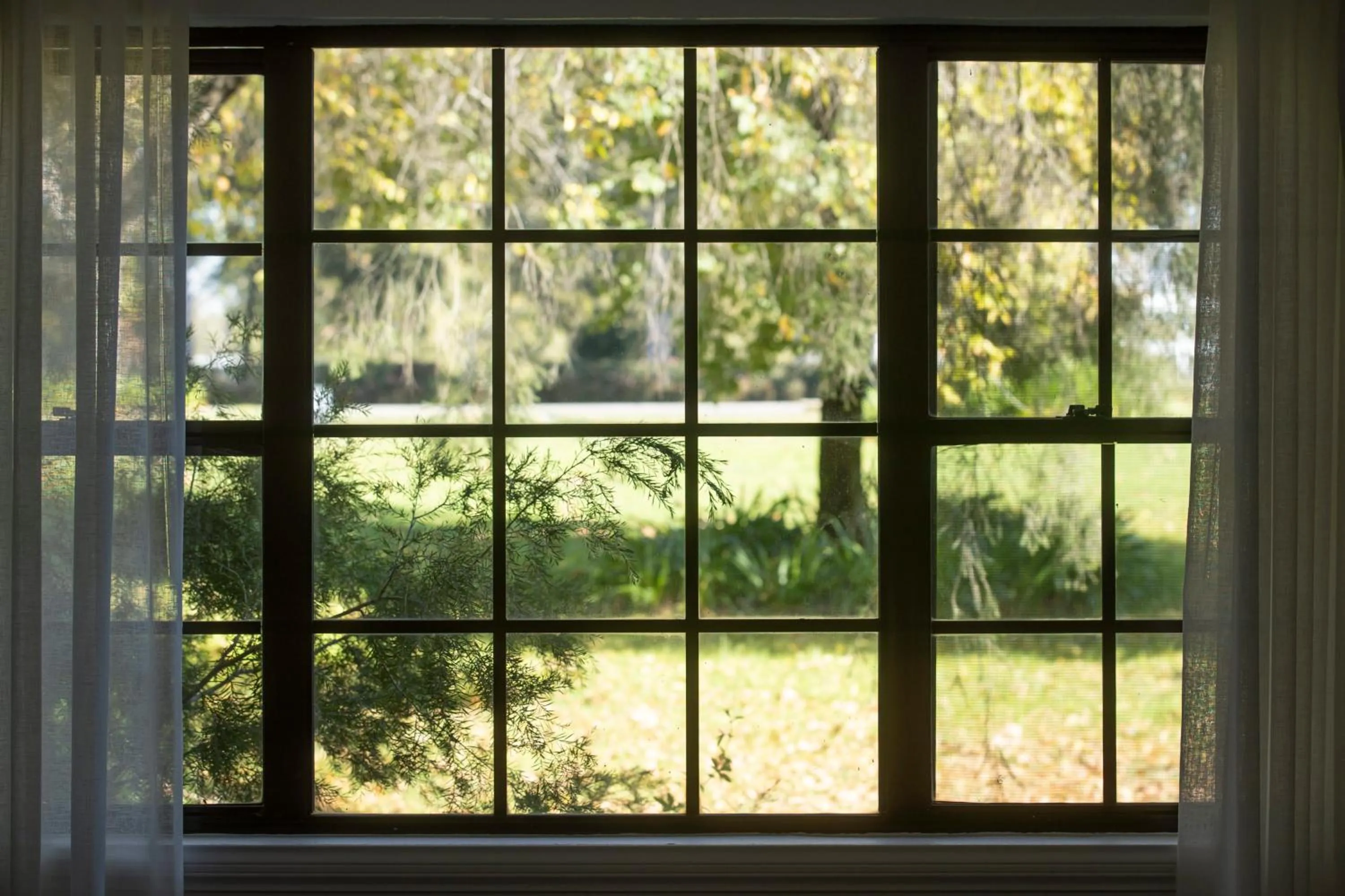 Garden view in Peppers The Hills Lodge