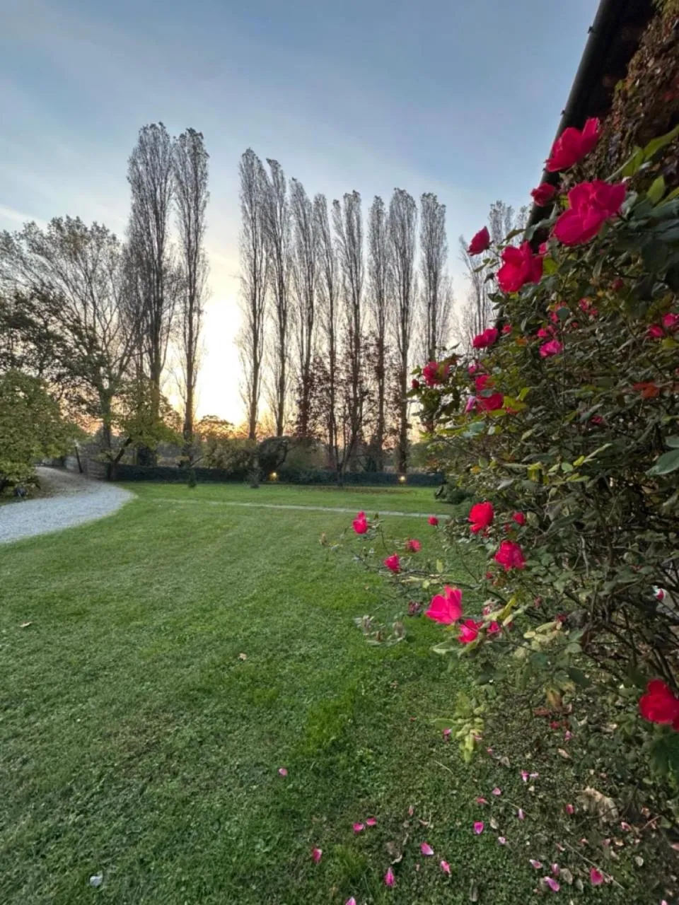 Natural landscape in B&B Villa Gradenigo