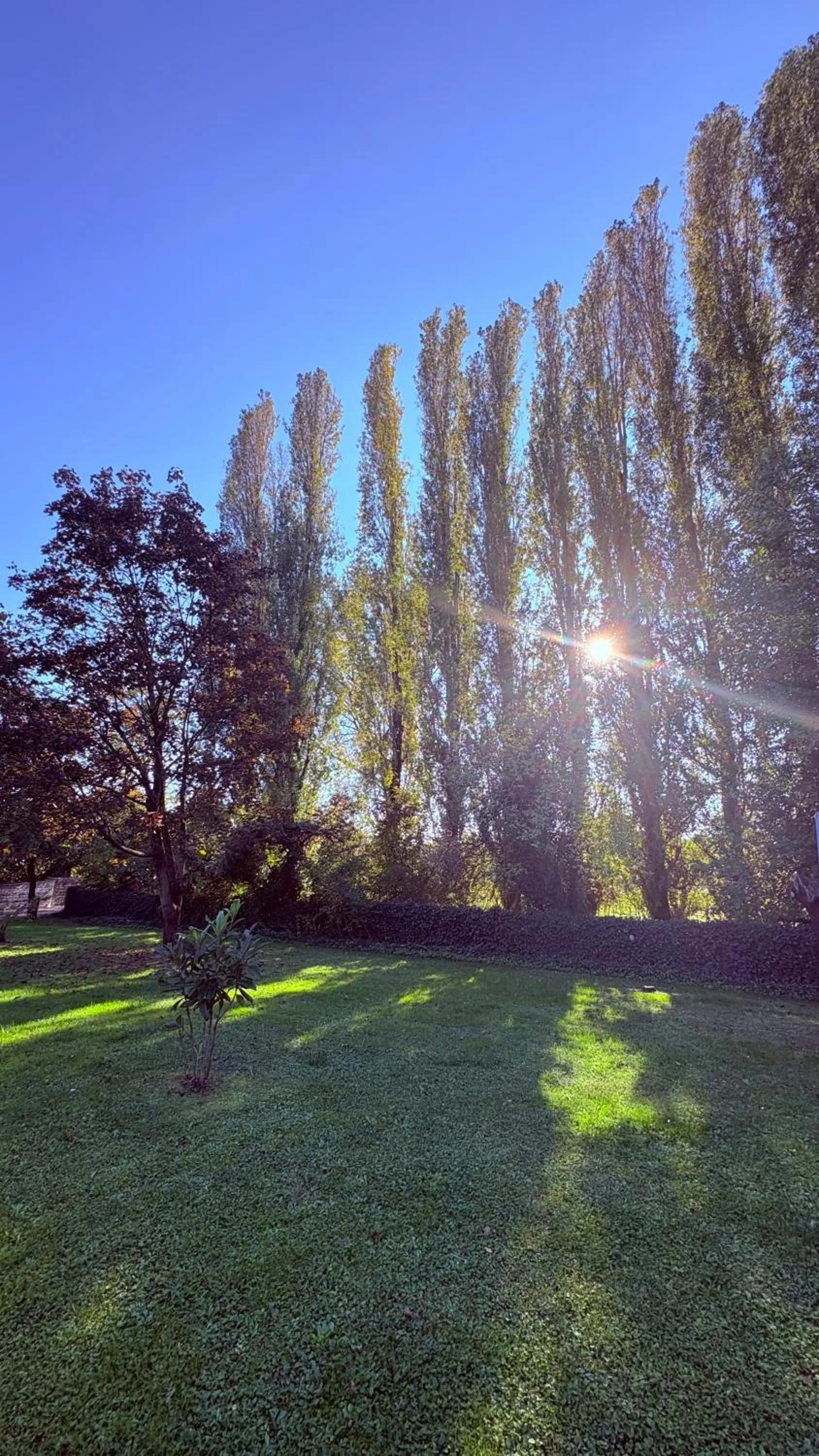 Garden in B&B Villa Gradenigo
