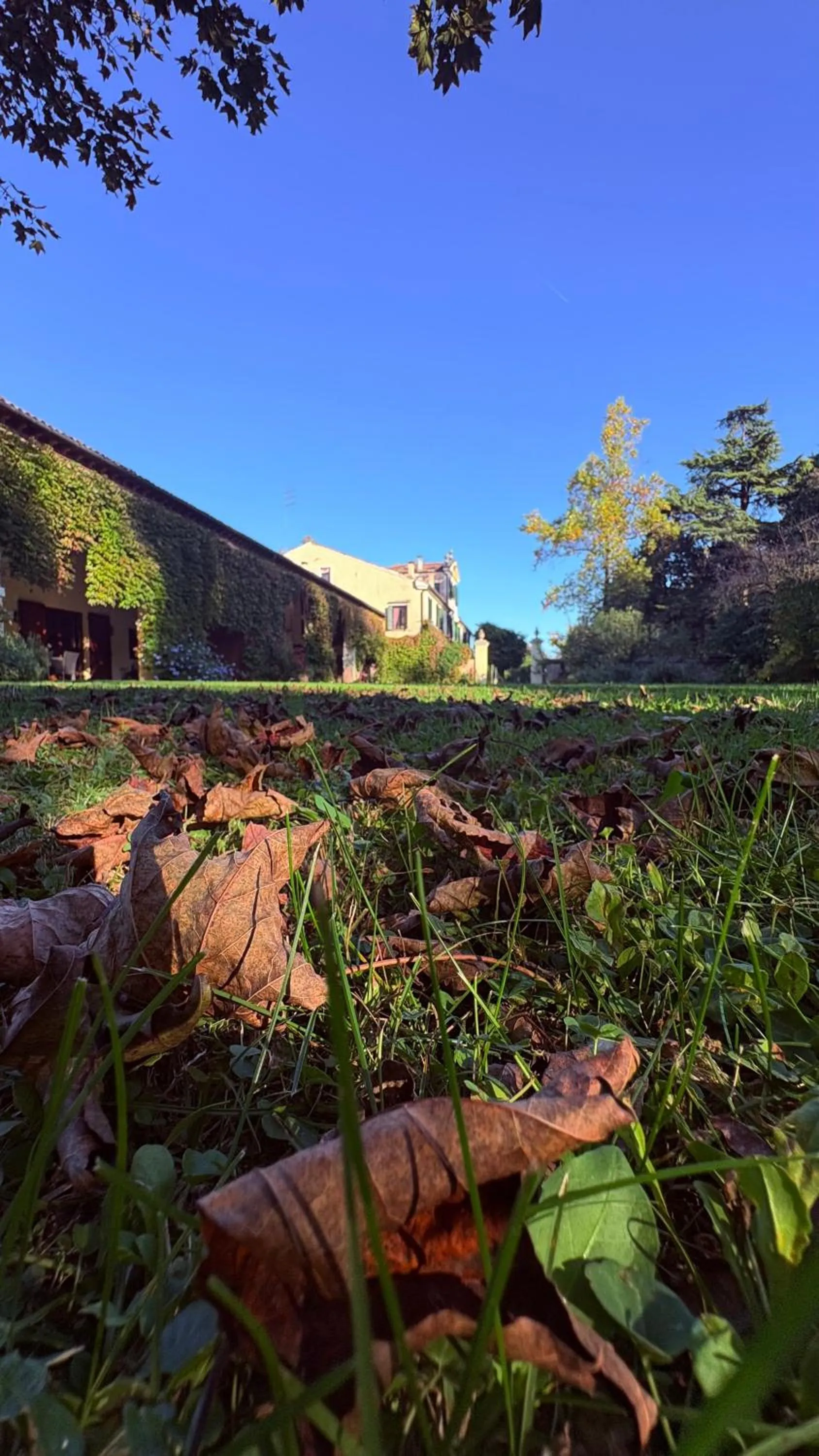 Garden in B&B Villa Gradenigo