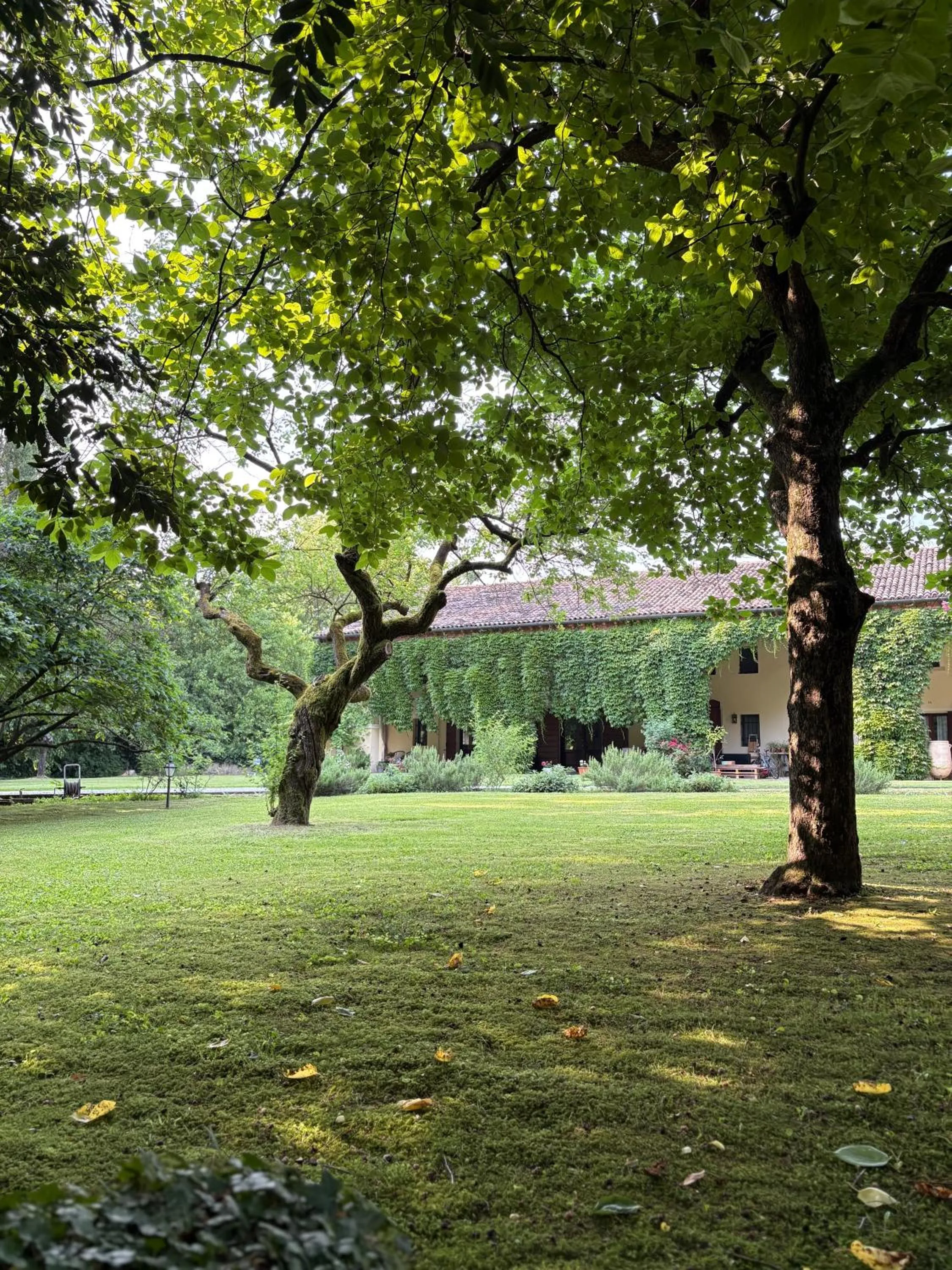 Garden in B&B Villa Gradenigo