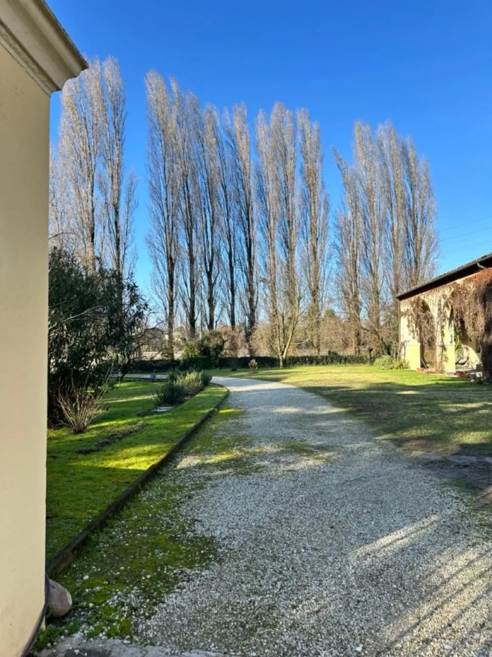 Garden in B&B Villa Gradenigo