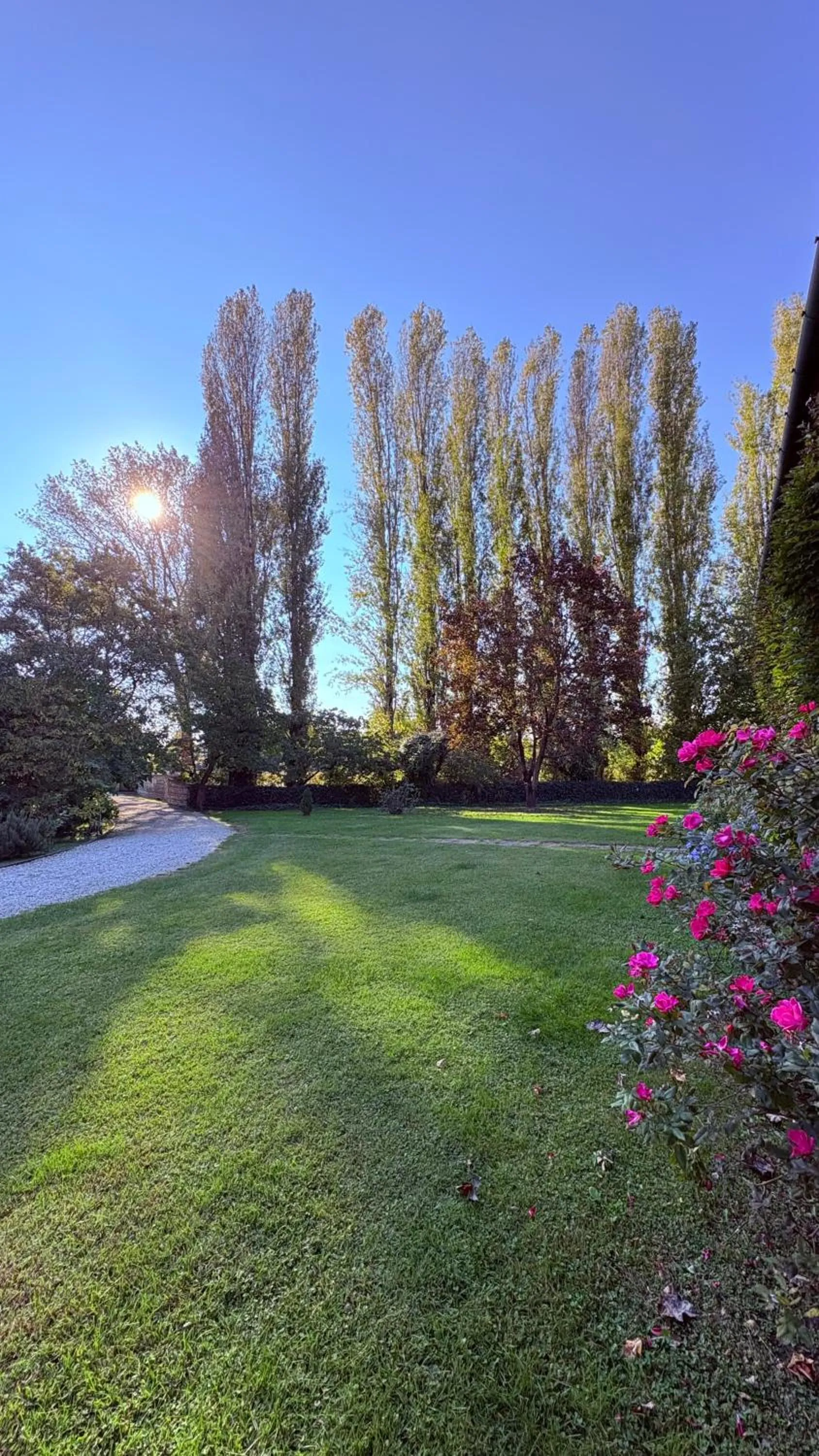 Garden in B&B Villa Gradenigo