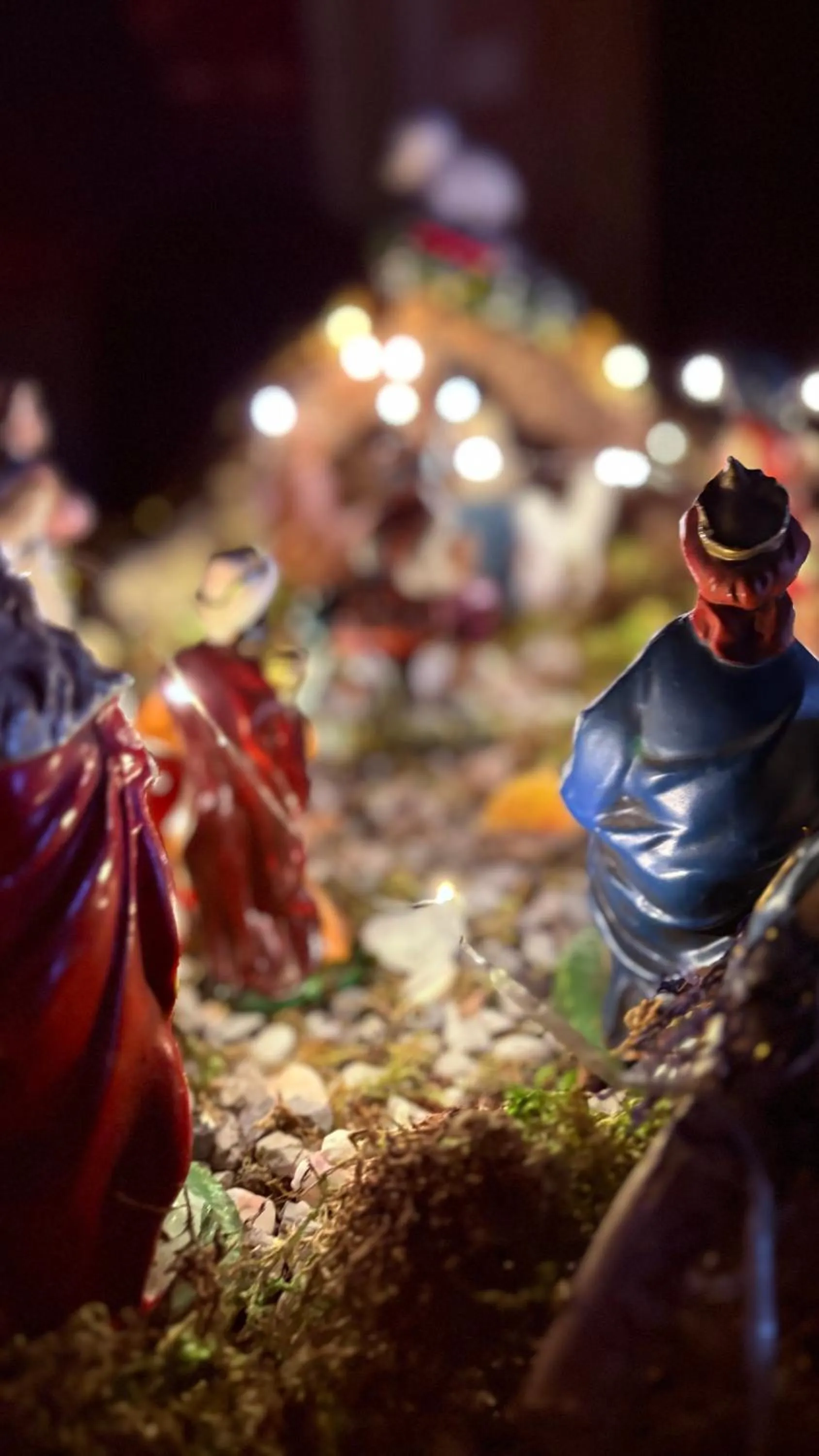 Other in B&B Villa Gradenigo