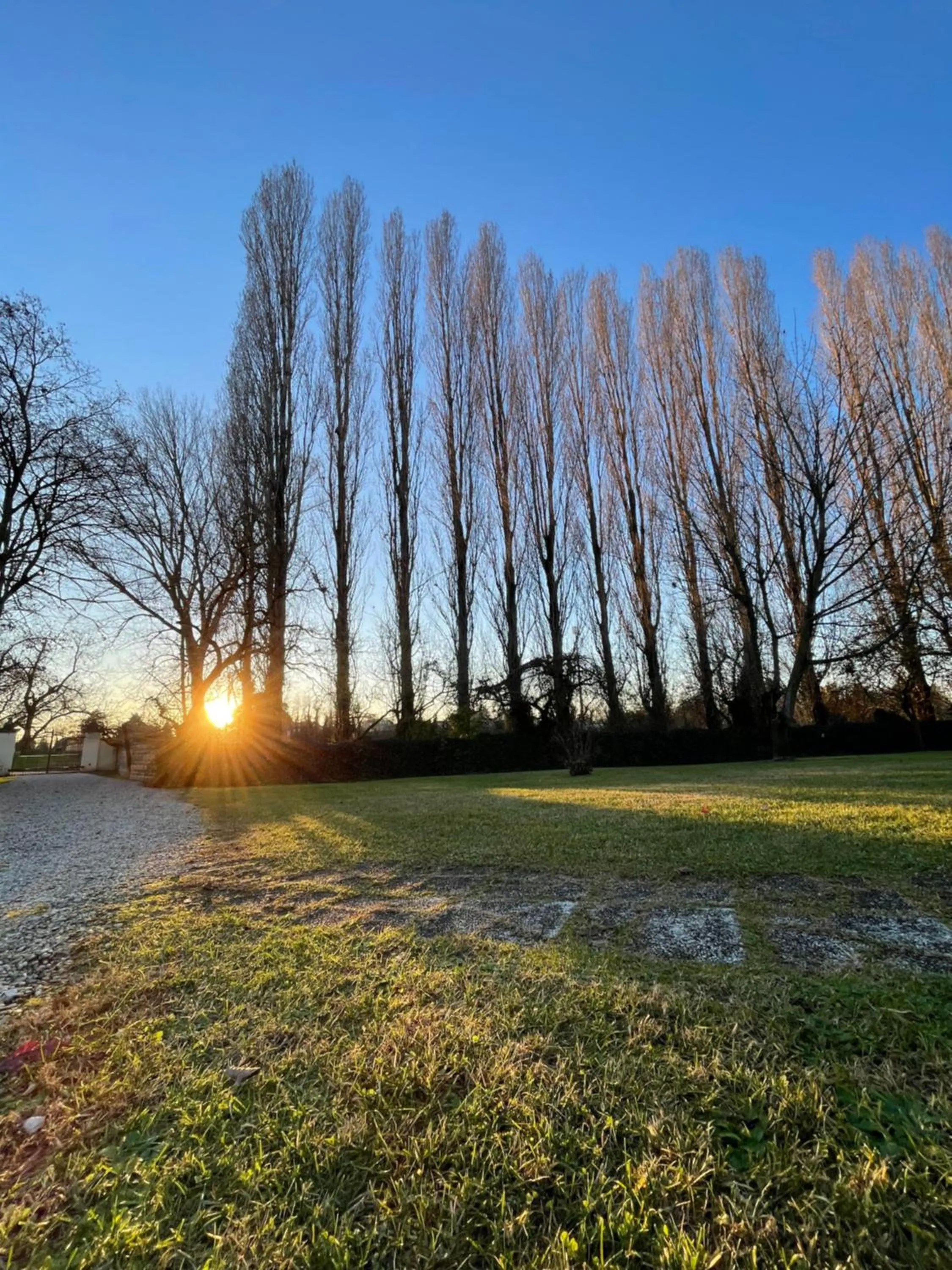 Natural landscape in B&B Villa Gradenigo