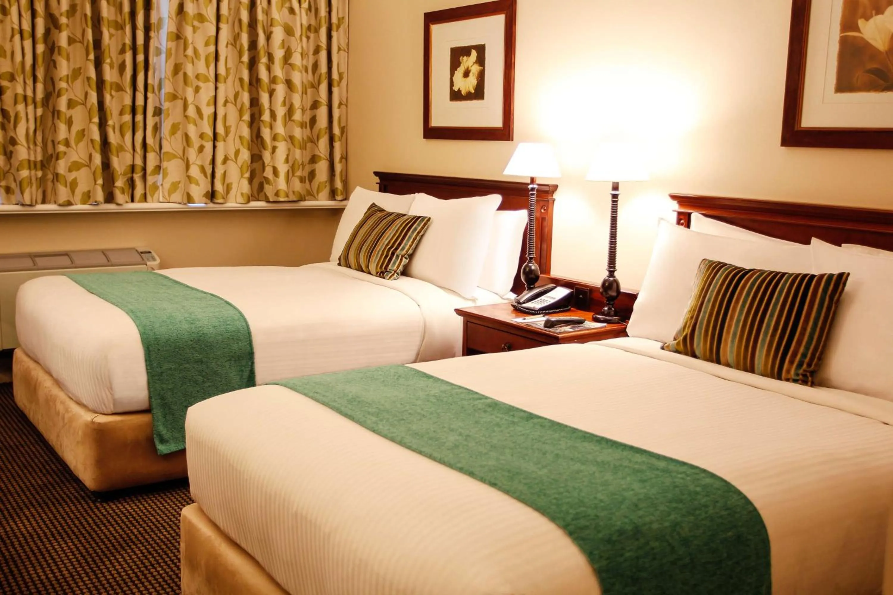 Executive Double Double Room Non Smoking in Southern Sun Mbombela