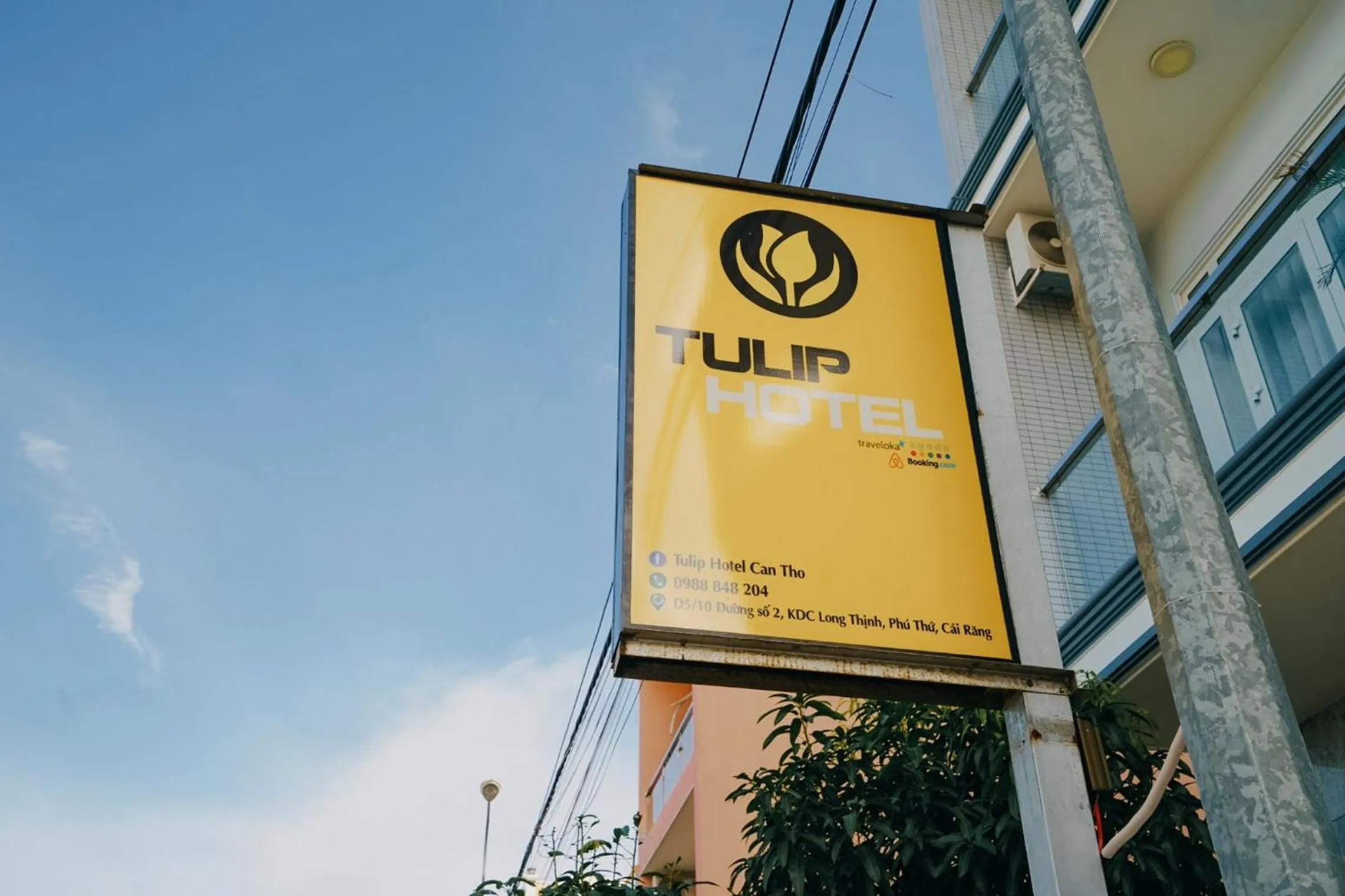 Property building in Tulip Hotel