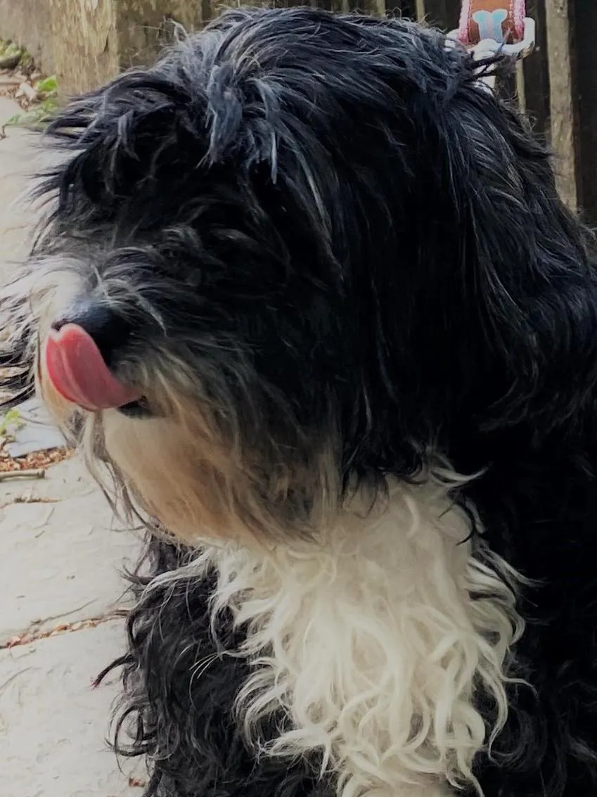 Embassie Backpackers