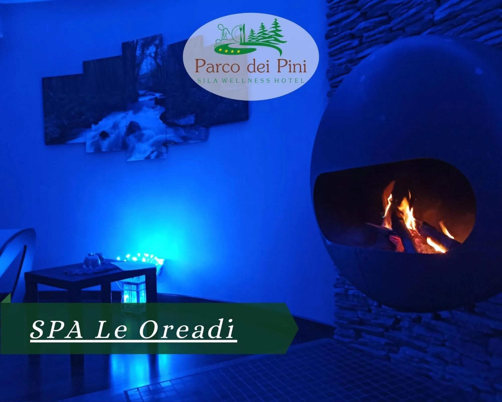 Spa and wellness centre/facilities in Parco dei Pini - Sila Wellness Hotel