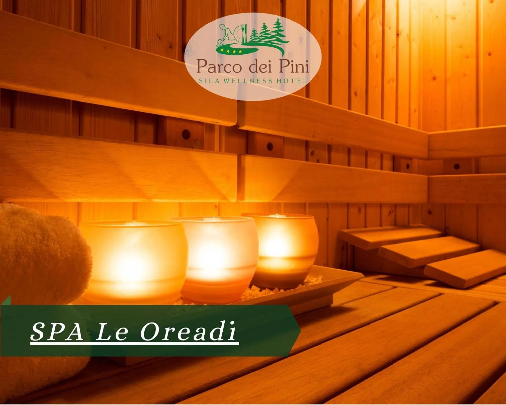 Spa and wellness centre/facilities in Parco dei Pini - Sila Wellness Hotel