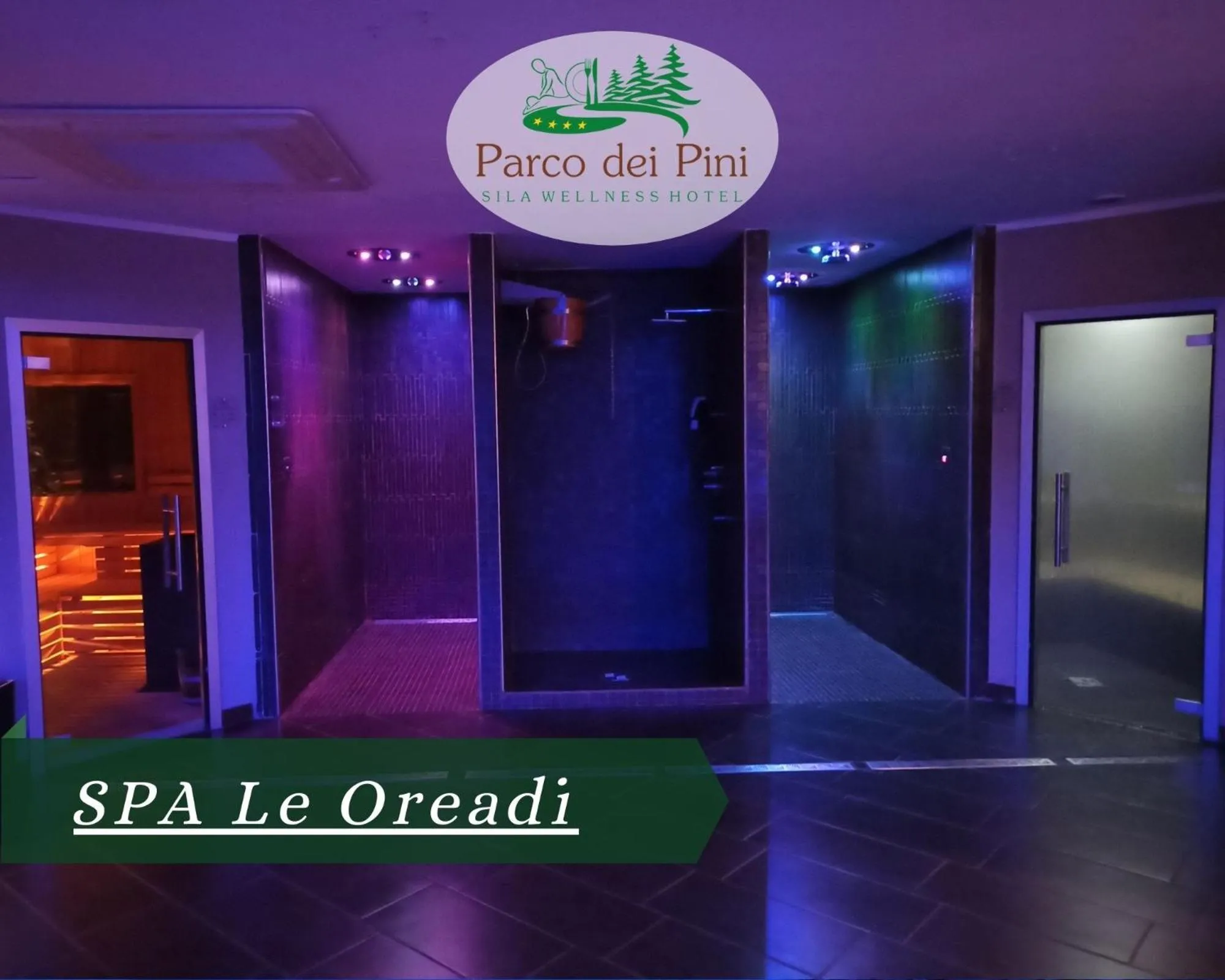 Spa and wellness centre/facilities in Parco dei Pini - Sila Wellness Hotel
