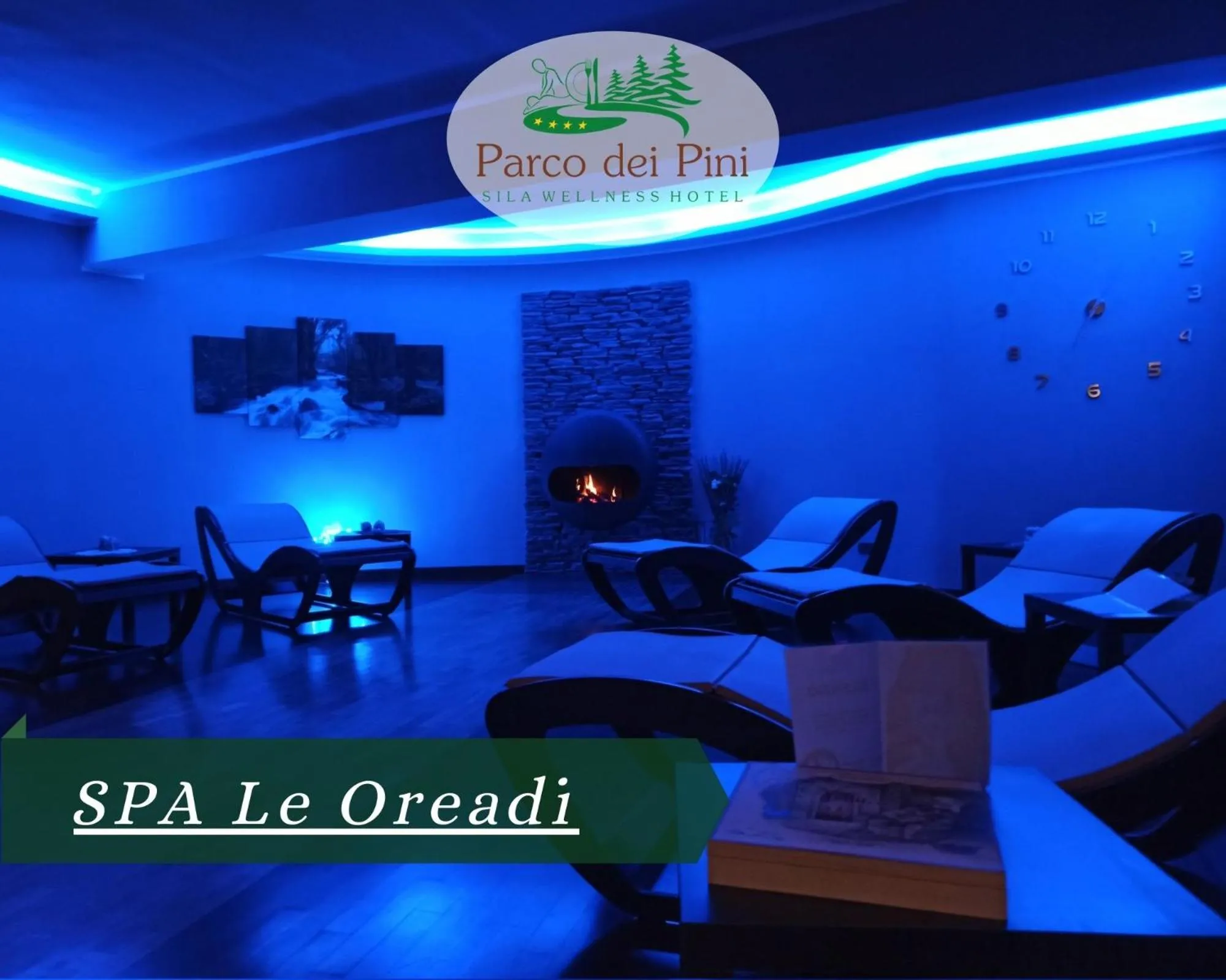 Spa and wellness centre/facilities in Parco dei Pini - Sila Wellness Hotel