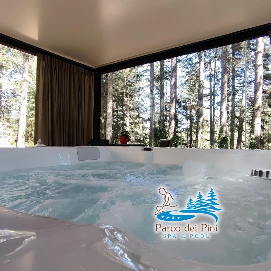 Swimming pool in Parco dei Pini - Sila Wellness Hotel