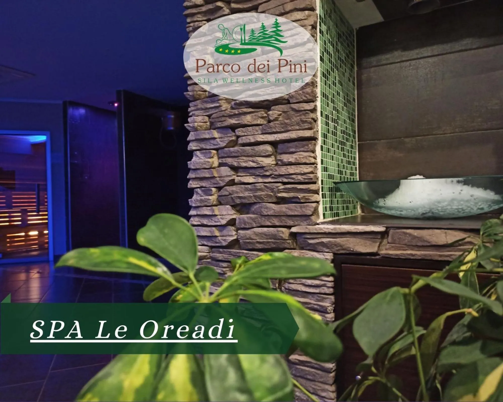 Spa and wellness centre/facilities in Parco dei Pini - Sila Wellness Hotel