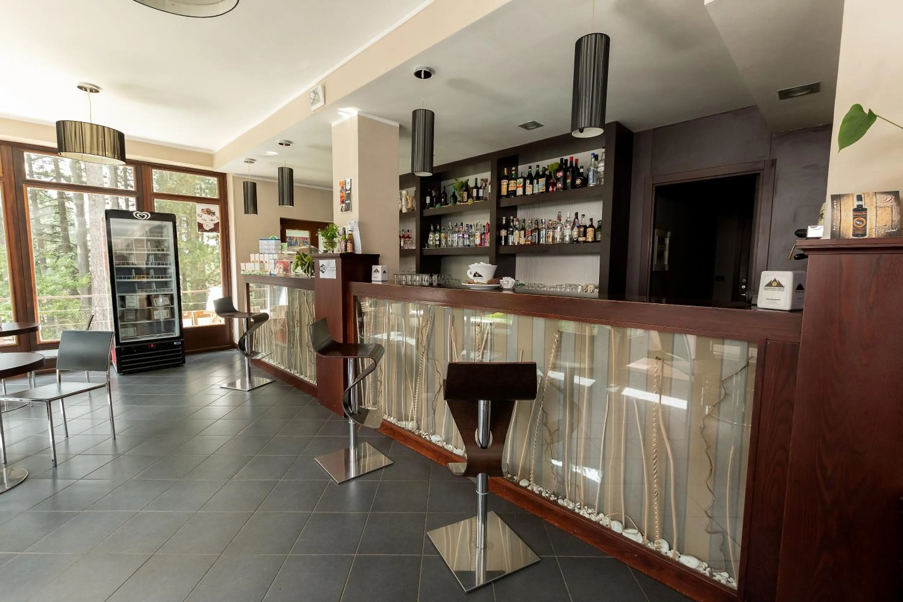 Lounge or bar in Parco dei Pini - Sila Wellness Hotel