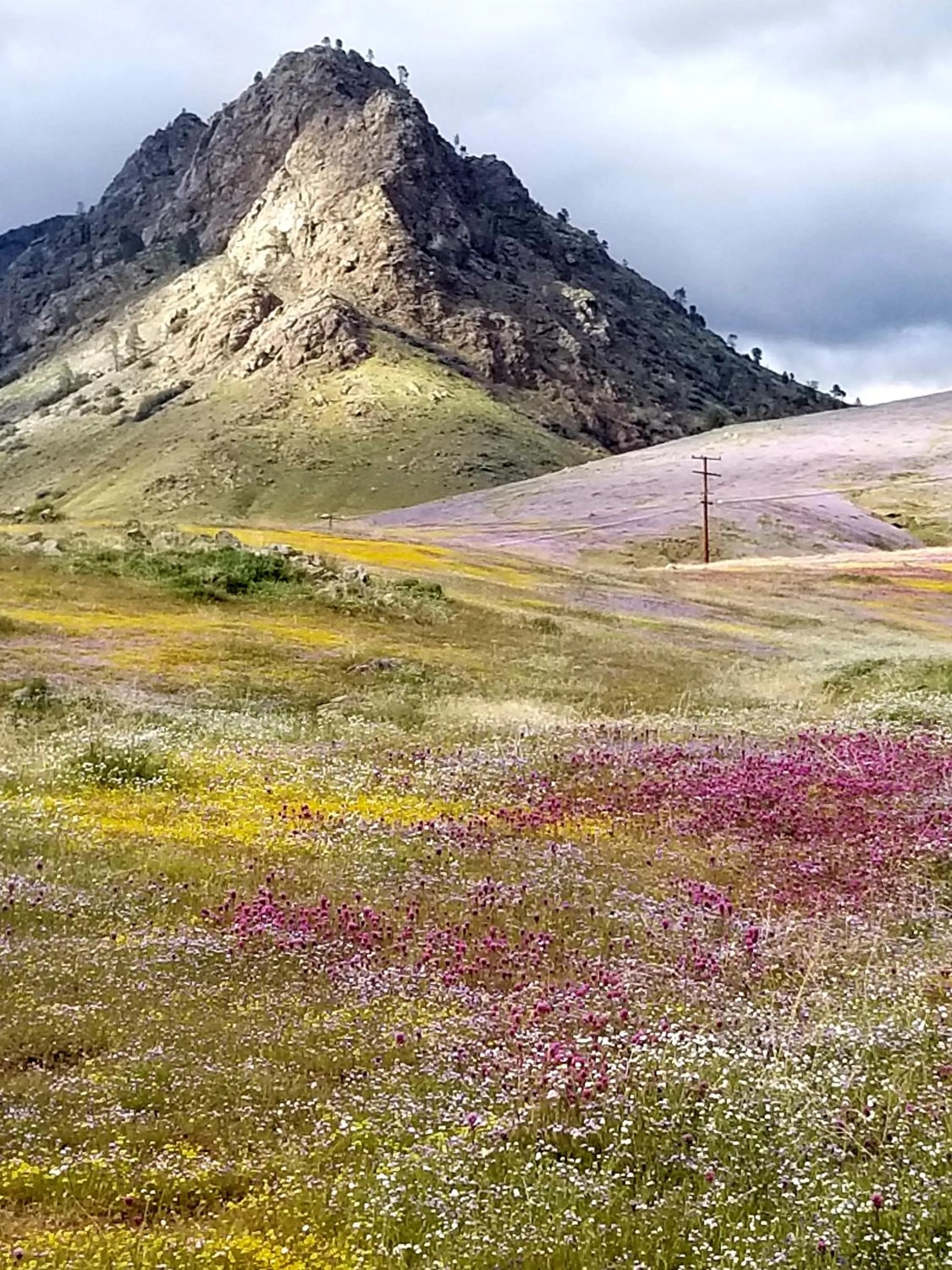 Spring in Sacred Mtn River Suites