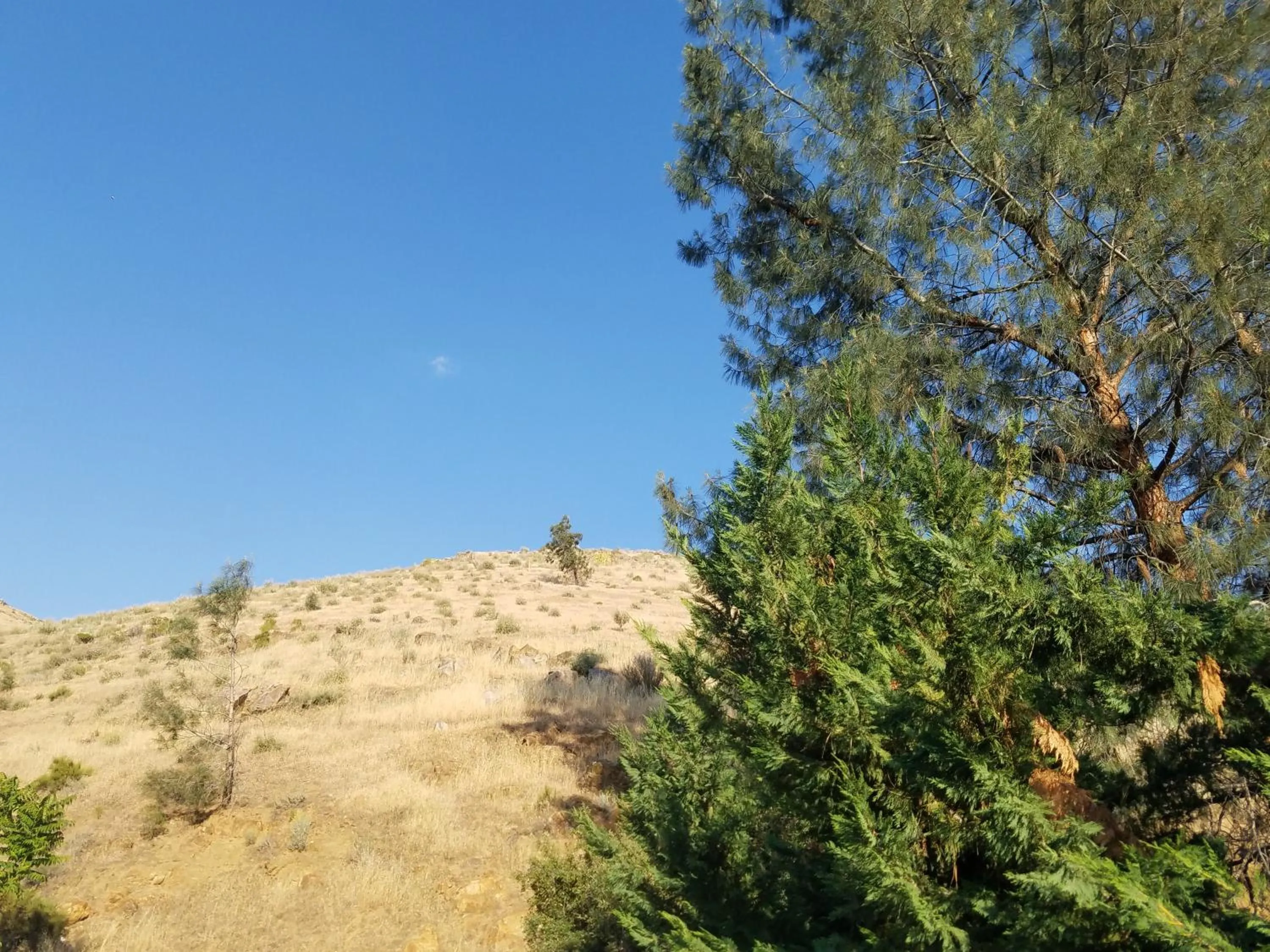 Activities in Sacred Mtn River Suites