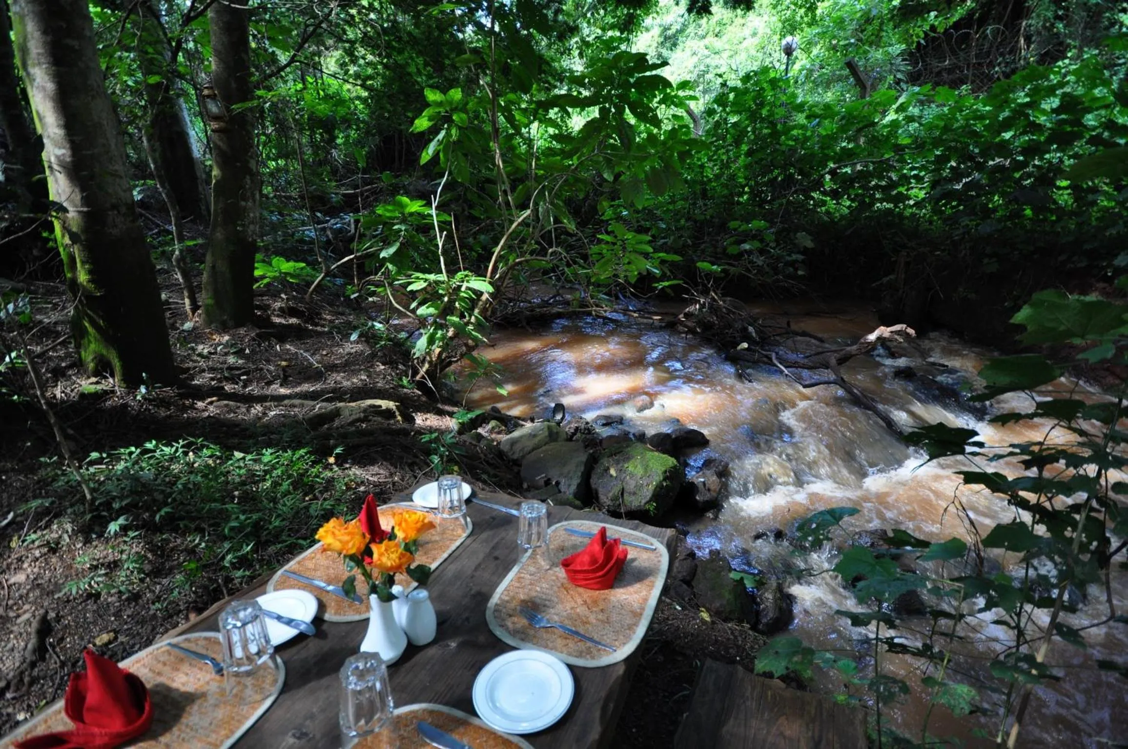 Garden in La Mada Hotel