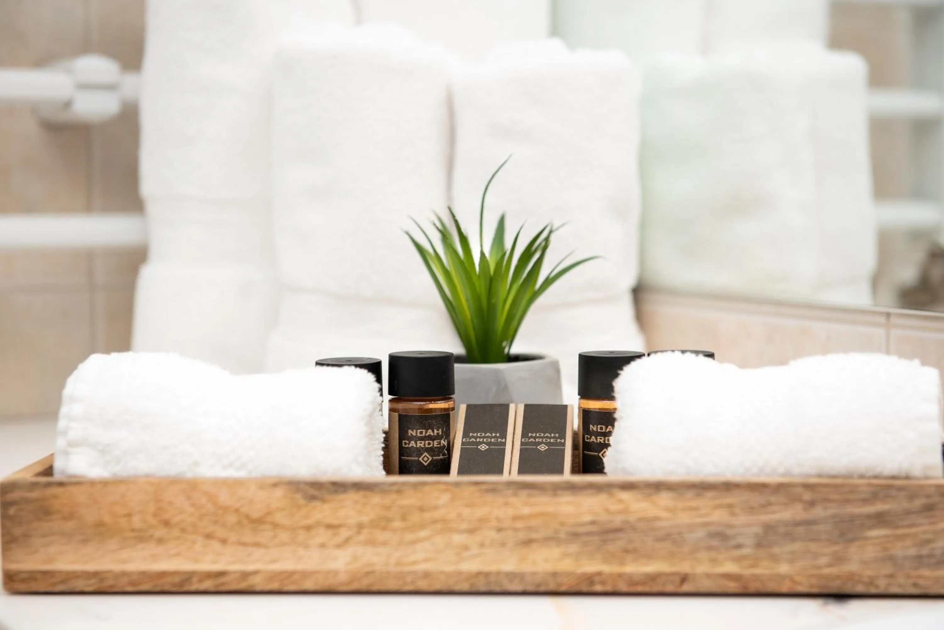 Deluxe Apartment in Park Hotel Kaylaka