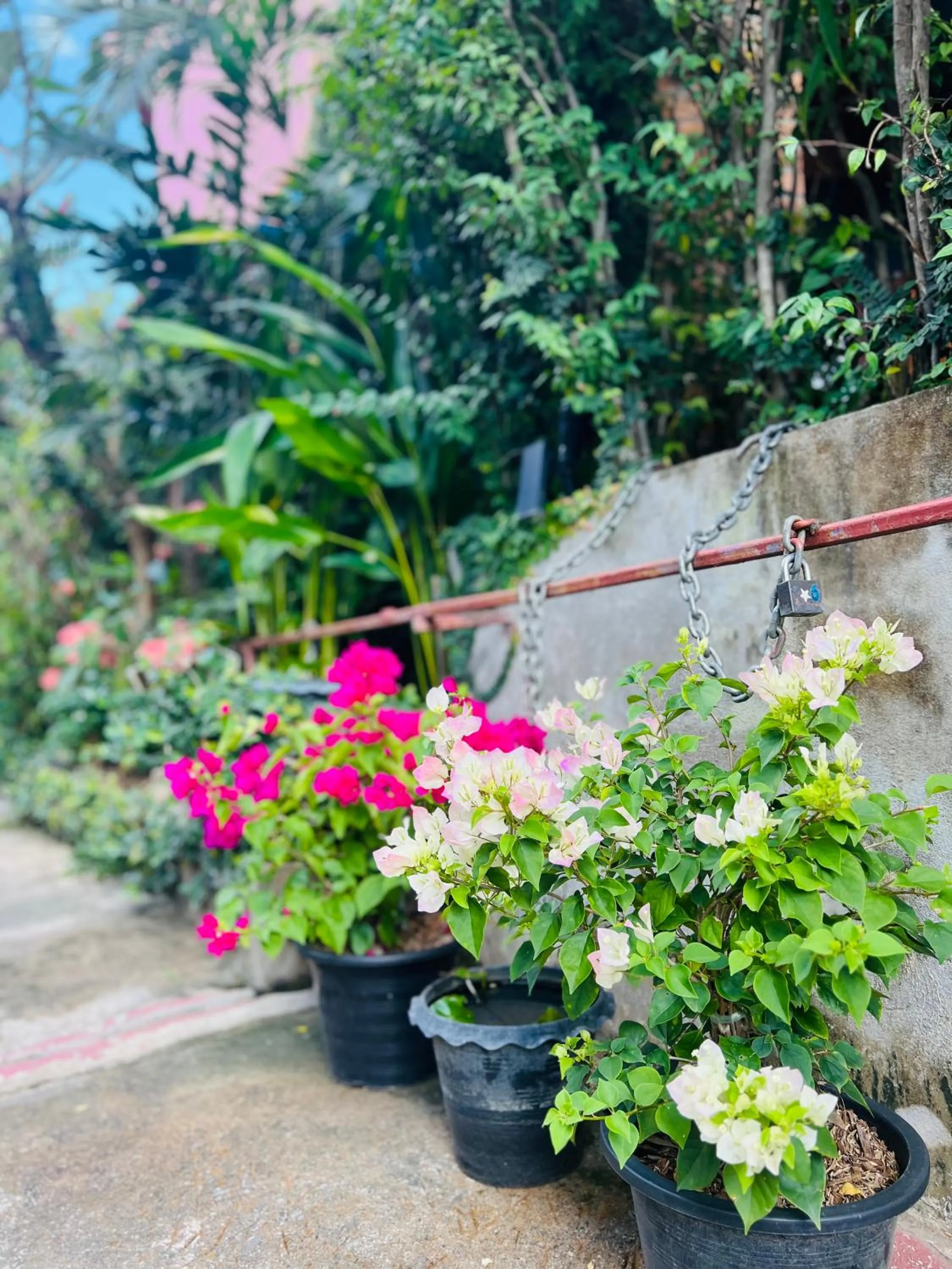 Property building in Boutique House Nipha