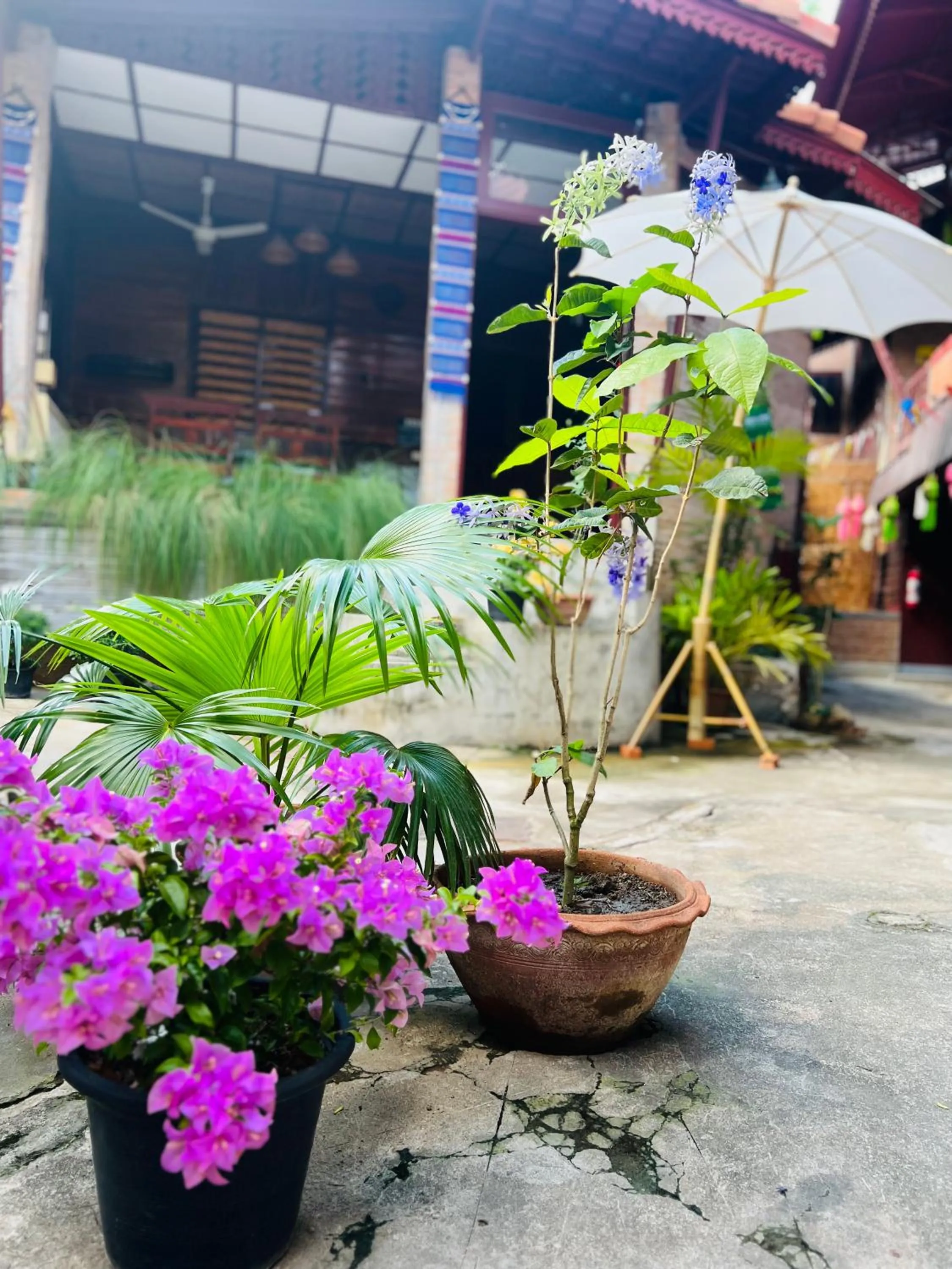 Property building in Boutique House Nipha