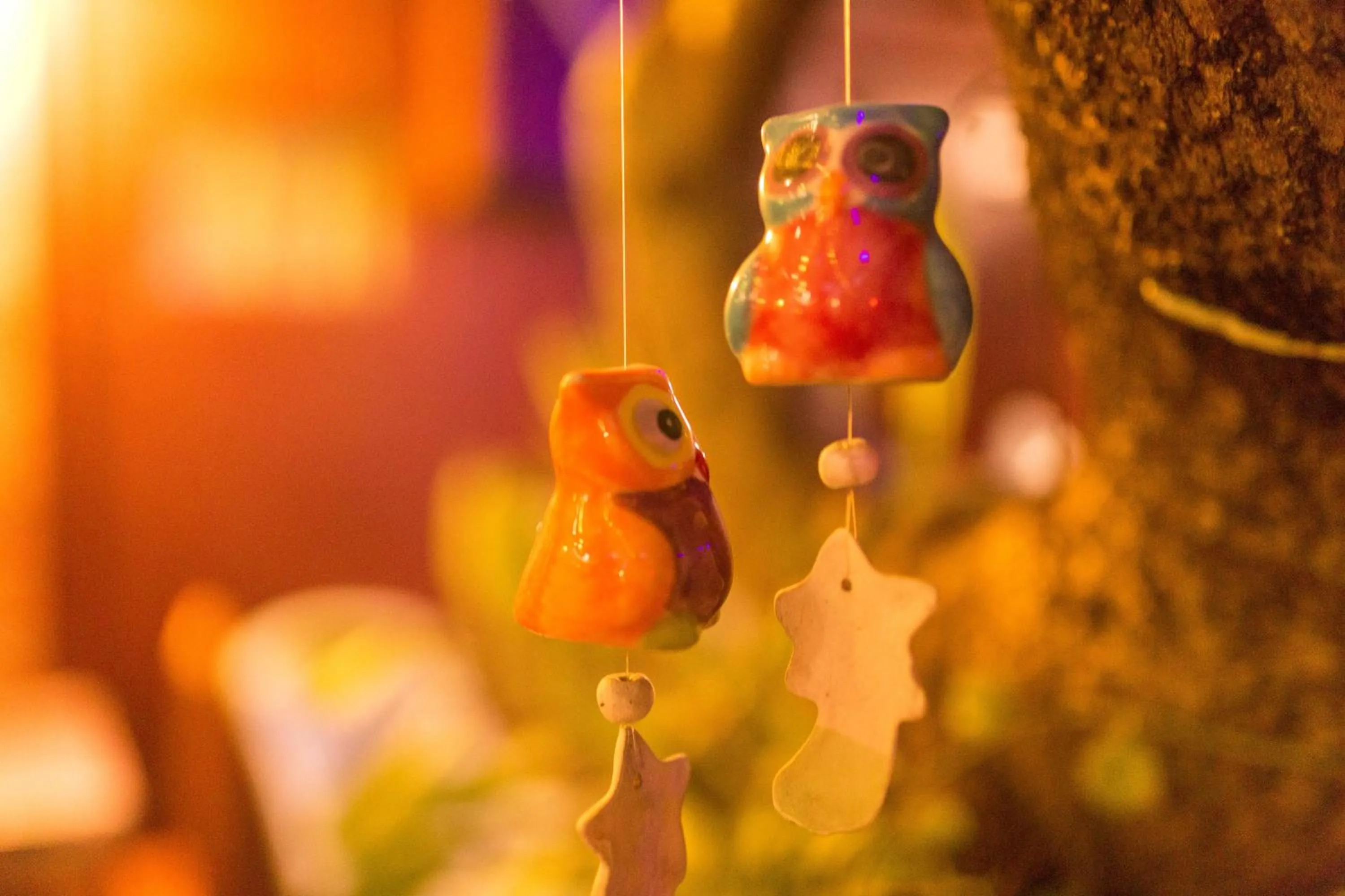 Garden in Boutique House Nipha