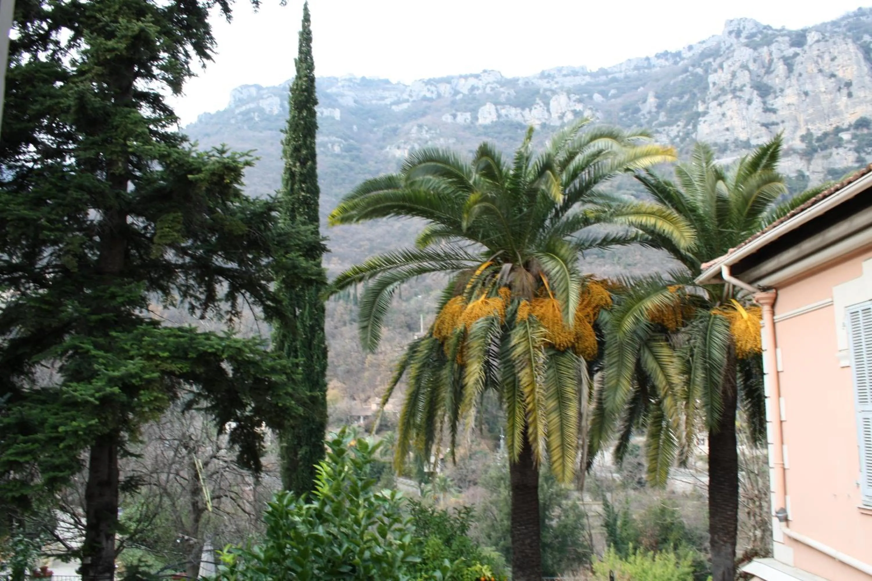 View (from property/room) in Auberge Les Gorges du Loup
