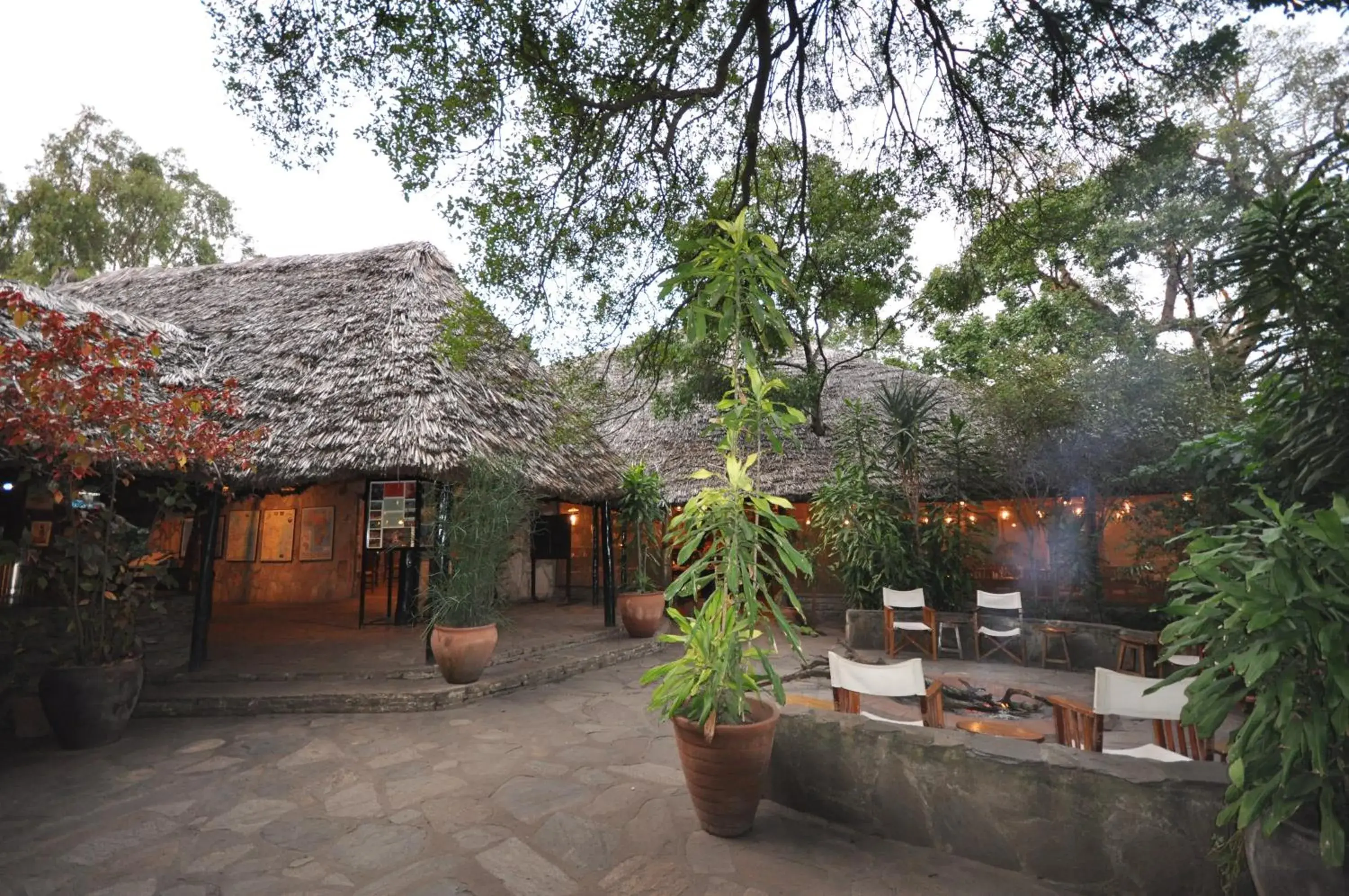 Facade/entrance in Fig Tree Camp - Maasai Mara Facade/entrance in Fig Tree Camp - Maasai Mara