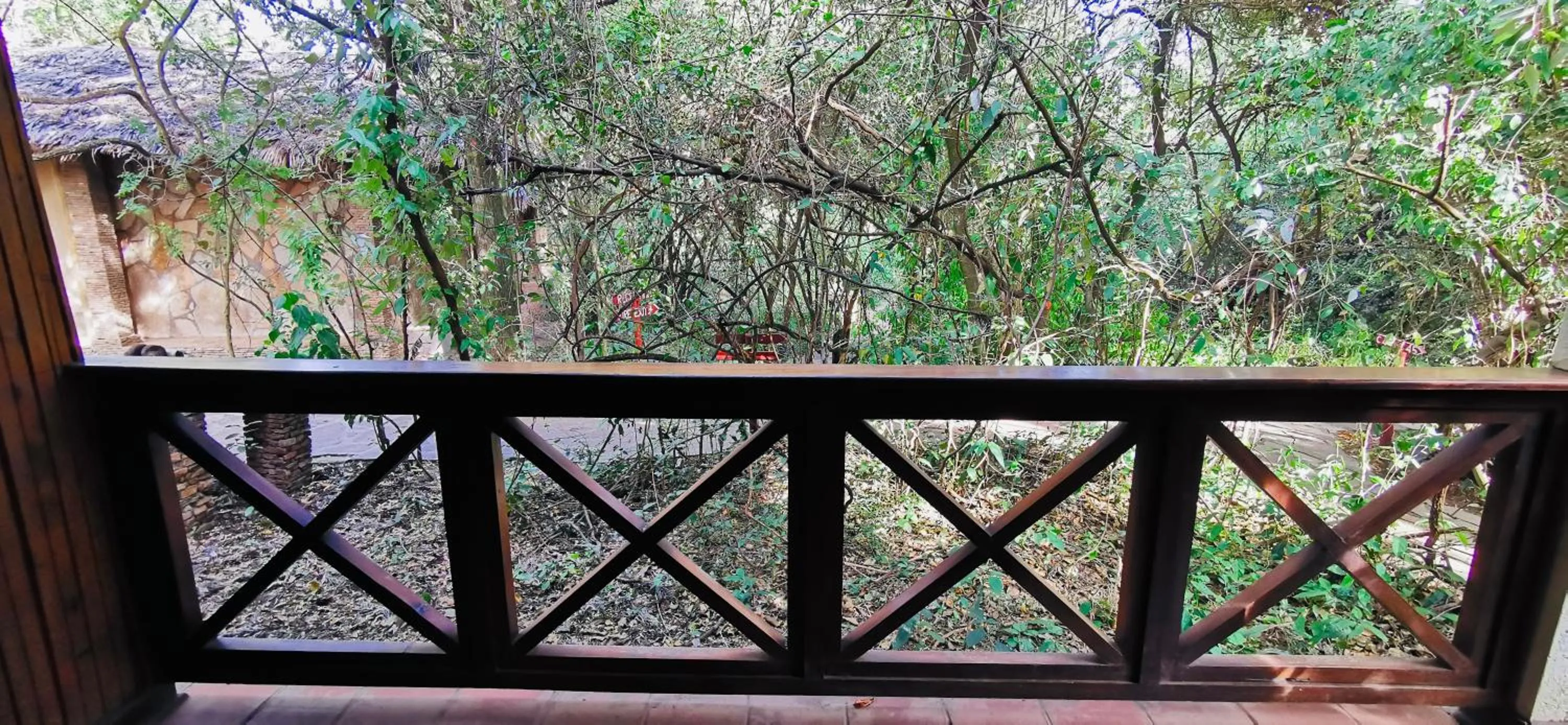 View (from property/room) in Fig Tree Camp - Maasai Mara