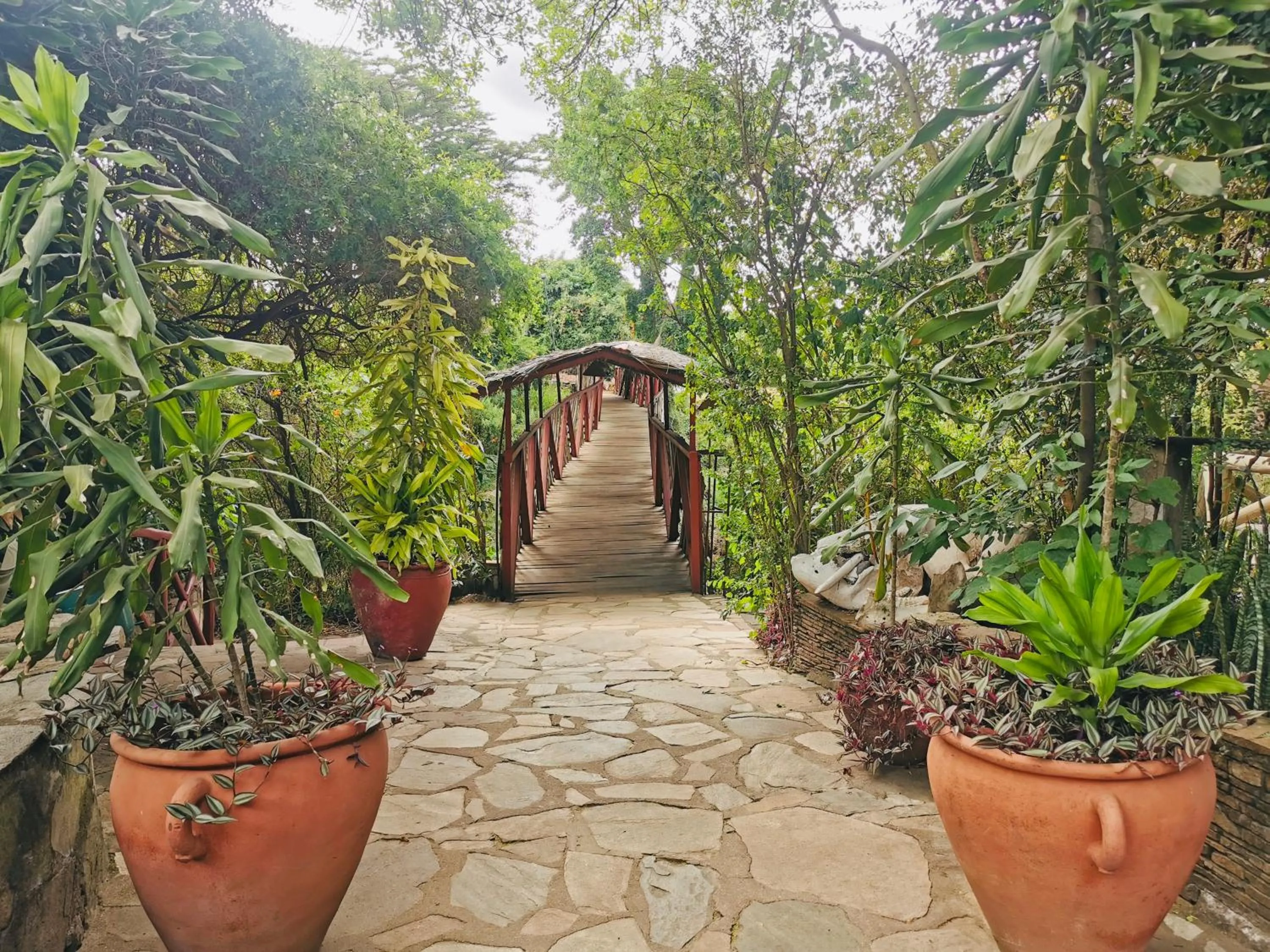 Other in Fig Tree Camp - Maasai Mara