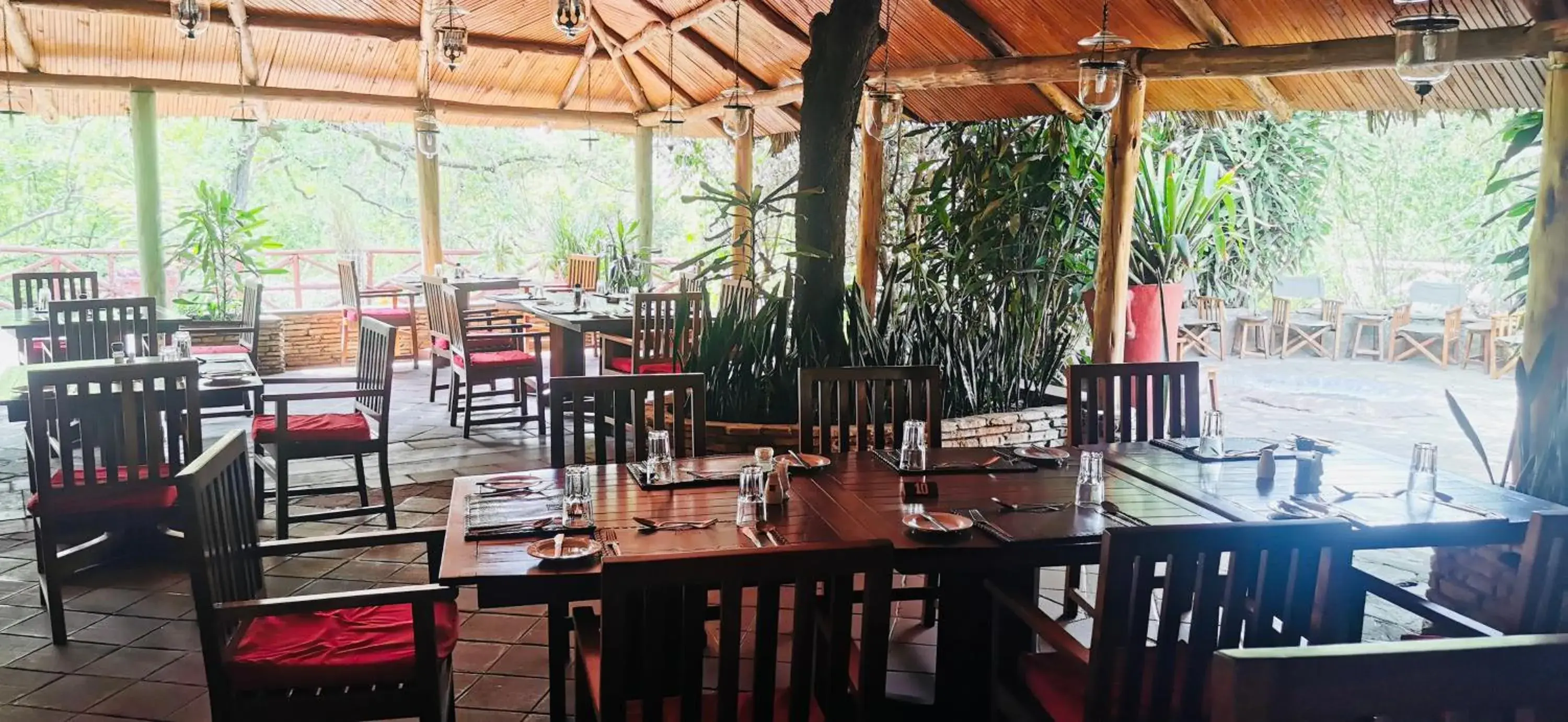 Restaurant/places to eat in Fig Tree Camp - Maasai Mara Restaurant/places to eat in Fig Tree Camp - Maasai Mara