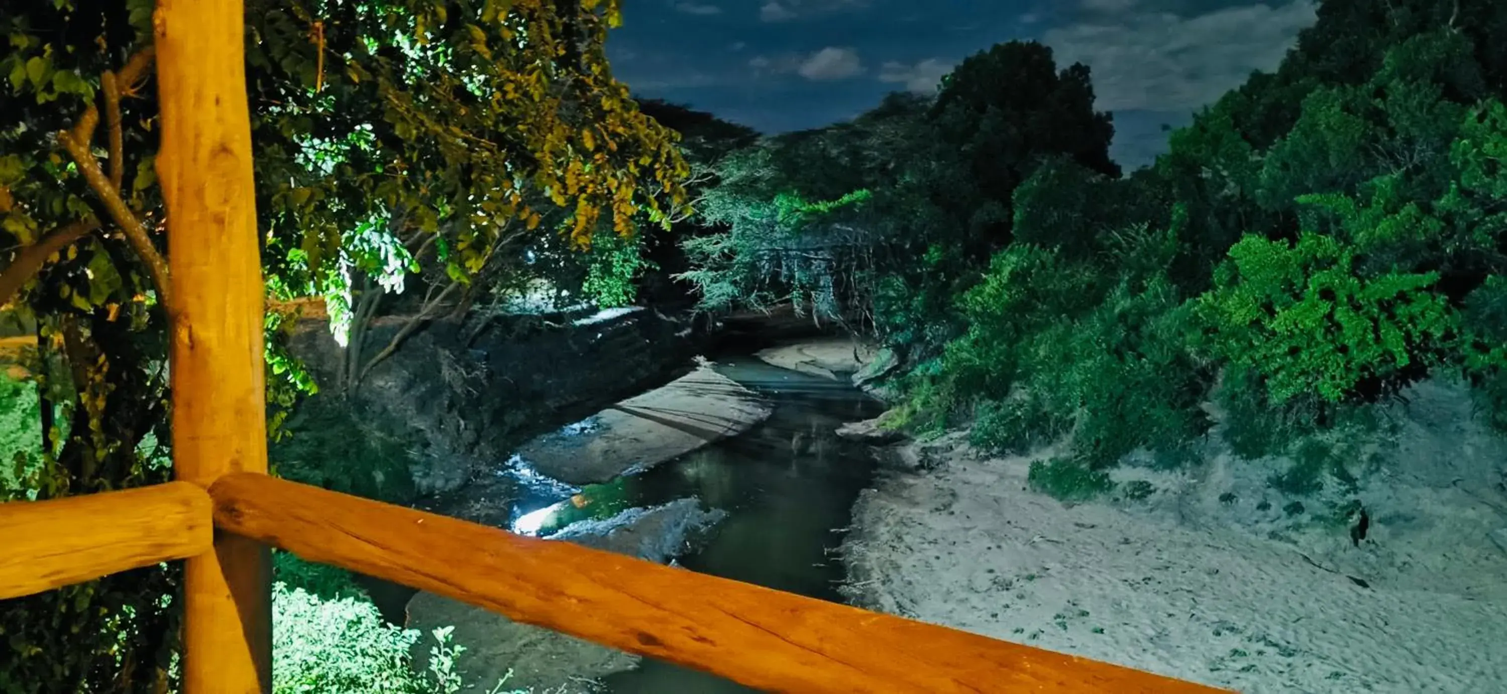 River view in Fig Tree Camp - Maasai Mara River view in Fig Tree Camp - Maasai Mara