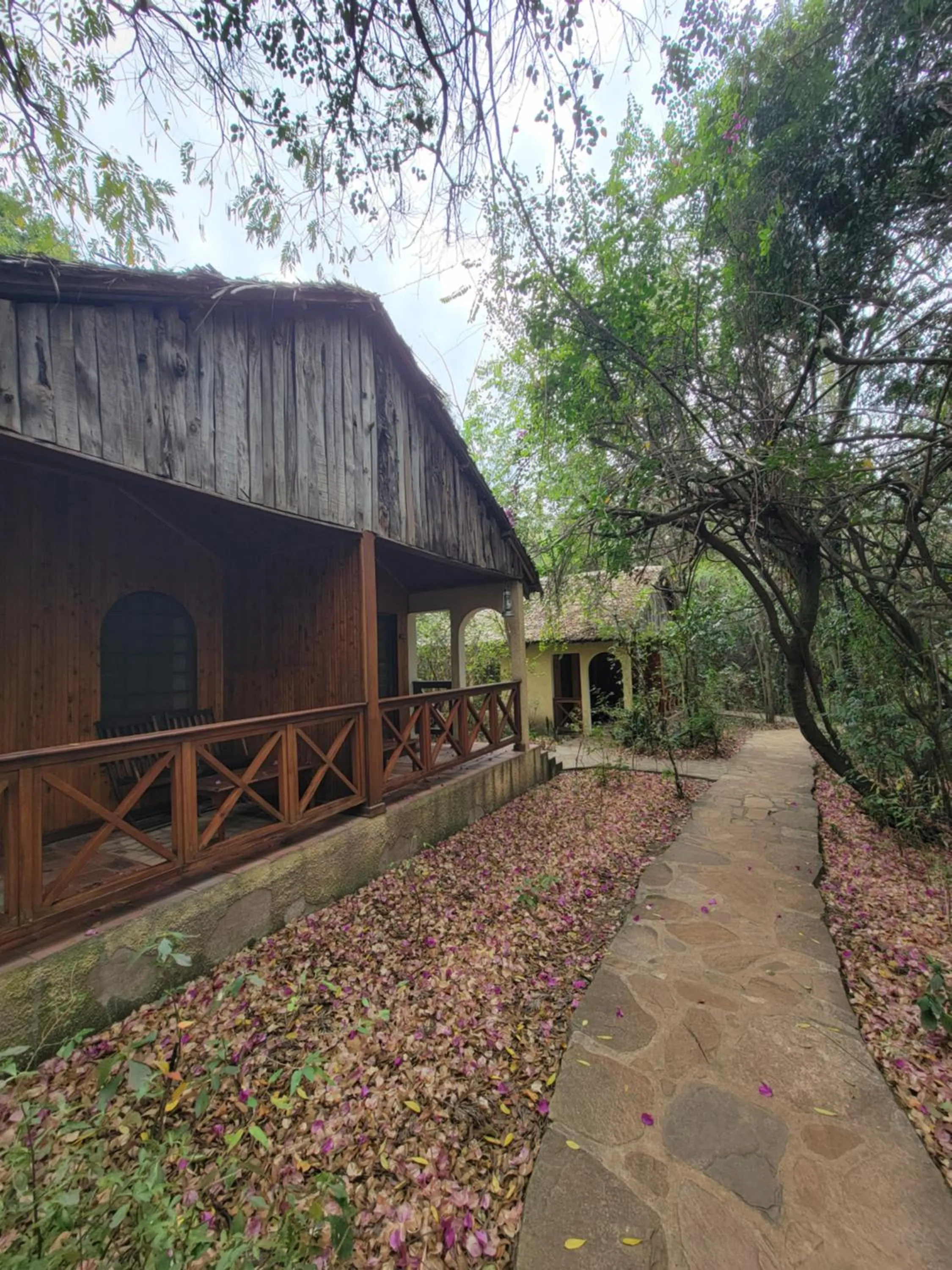 Fig Tree Camp - Maasai Mara
