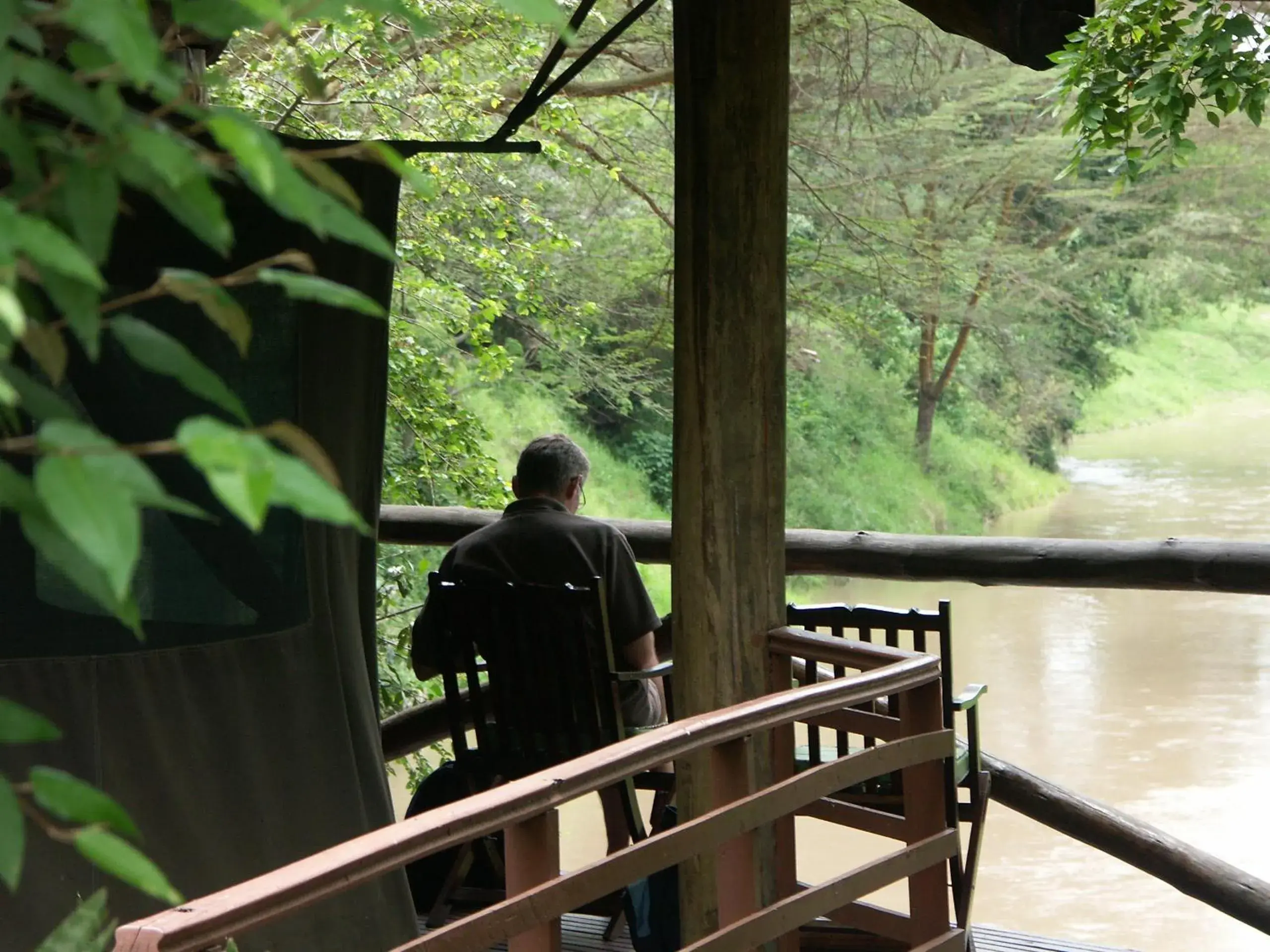 River view in Fig Tree Camp - Maasai Mara River view in Fig Tree Camp - Maasai Mara