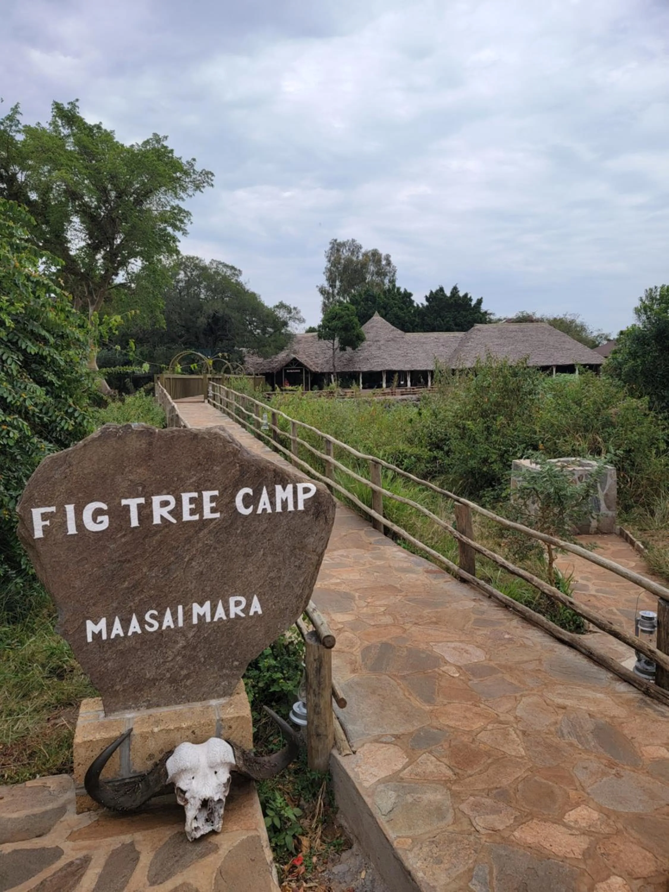 Fig Tree Camp - Maasai Mara