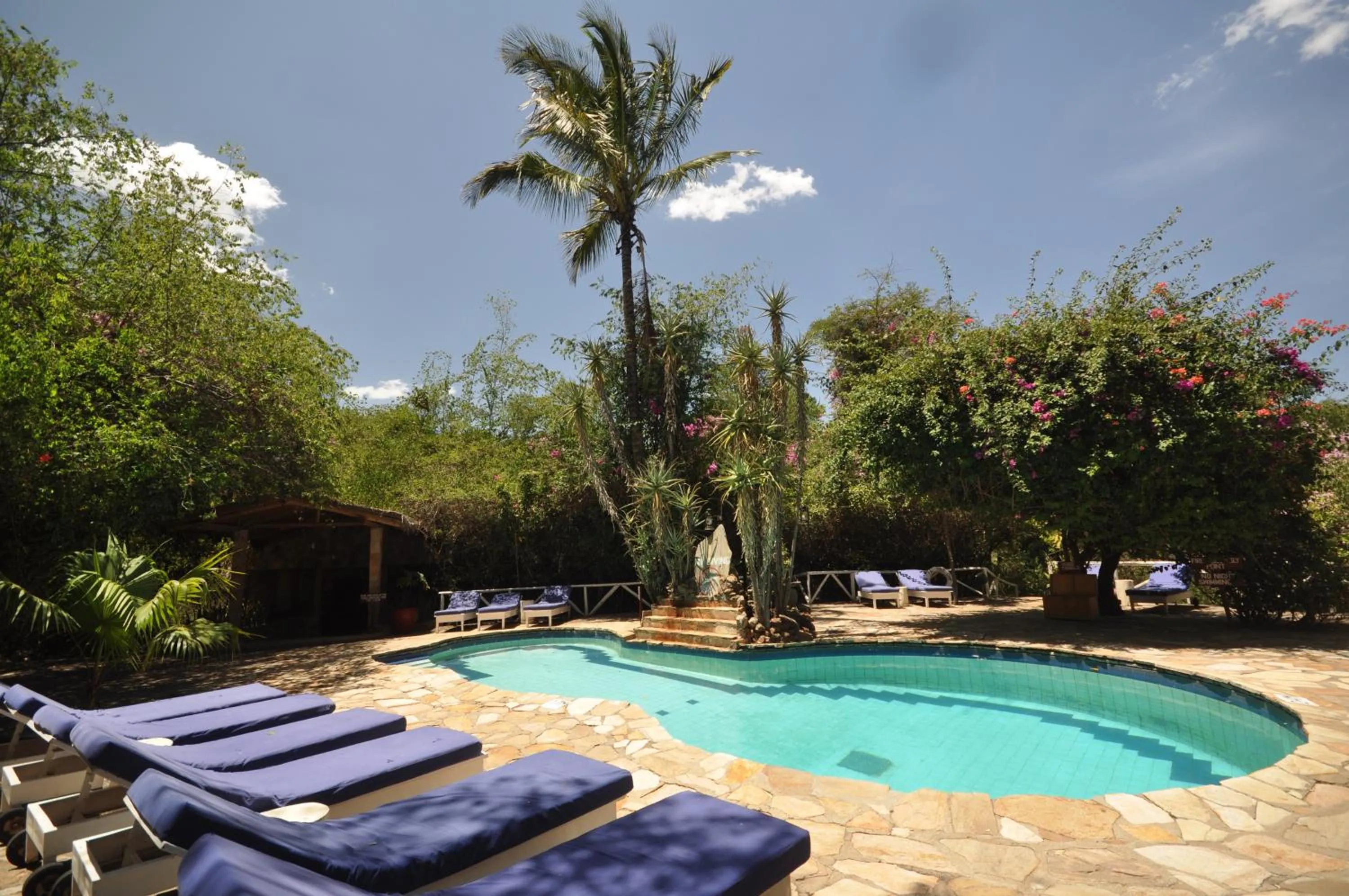 Swimming pool in Fig Tree Camp - Maasai Mara